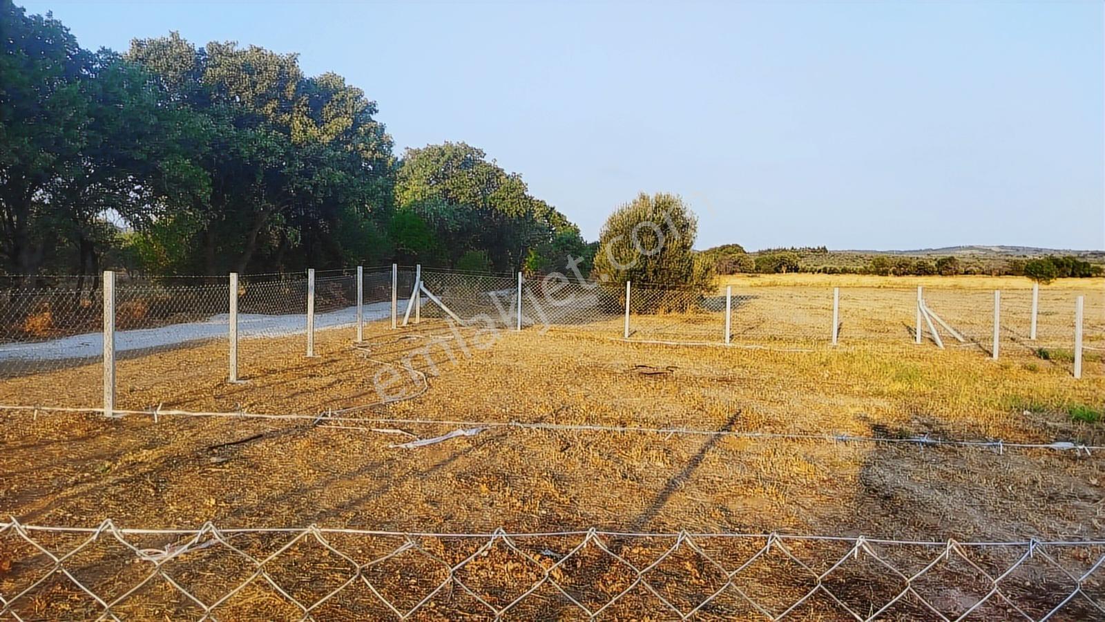 Geyikliye Yakın Etrafı Çevrili Satılık 383 M2 Hobi Bahçesi - Görsel 6