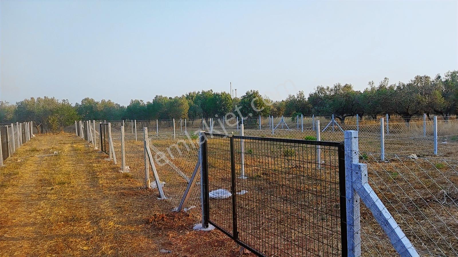 Geyikliye Yakın Etrafı Çevrili Satılık 383 M2 Hobi Bahçesi - Görsel 20