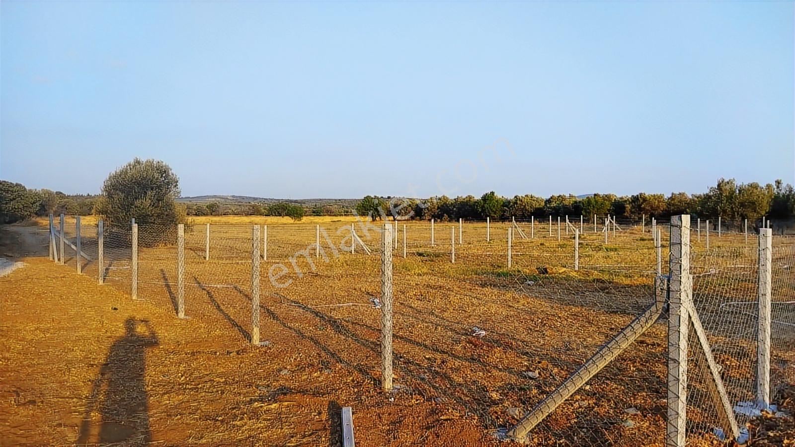 Geyikliye Yakın Etrafı Çevrili Satılık 383 M2 Hobi Bahçesi - Görsel 28