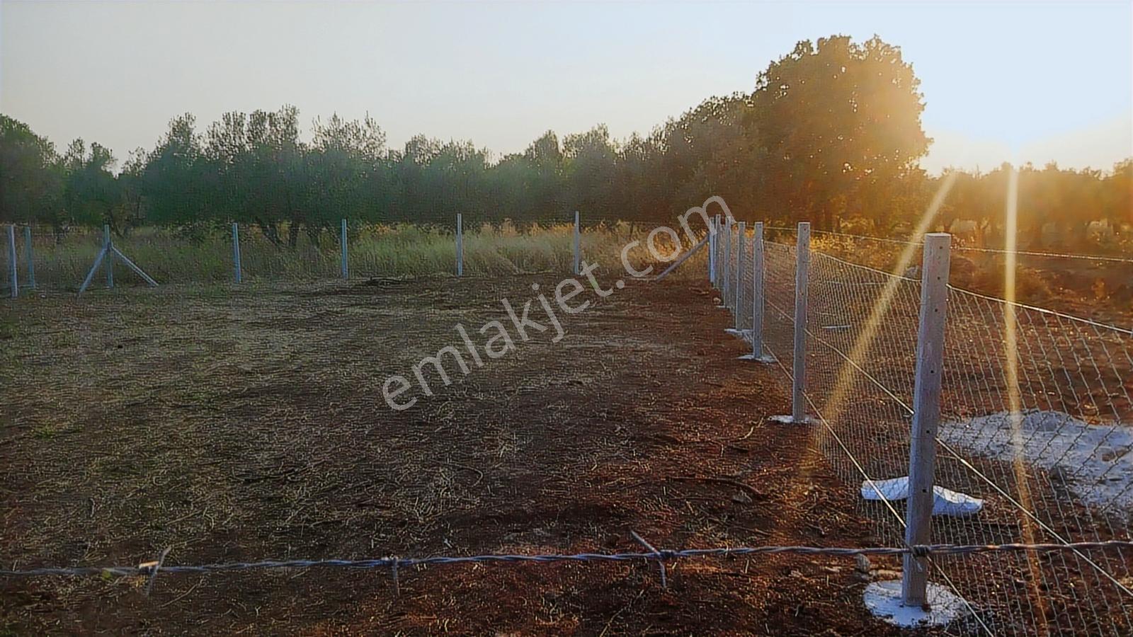 Geyikliye Yakın Etrafı Çevrili Satılık 383 M2 Hobi Bahçesi - Görsel 13