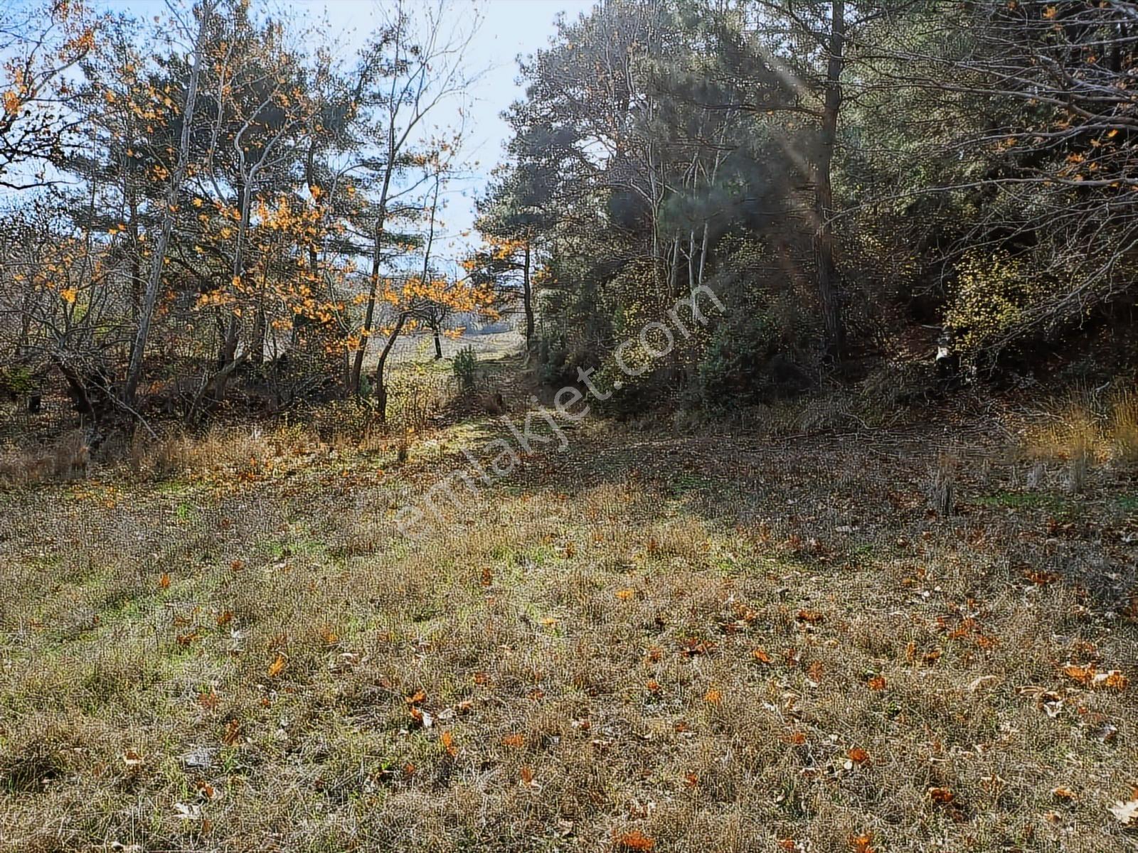 Çınar Gayrimenkulden Palamutobada 1.580 M2 Satılık Arazi - Görsel 27