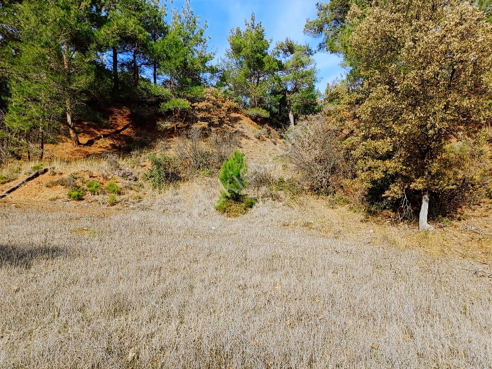 Çınar Gayrimenkulden Palamutobada 1.580 M2 Satılık Arazi - Görsel 10