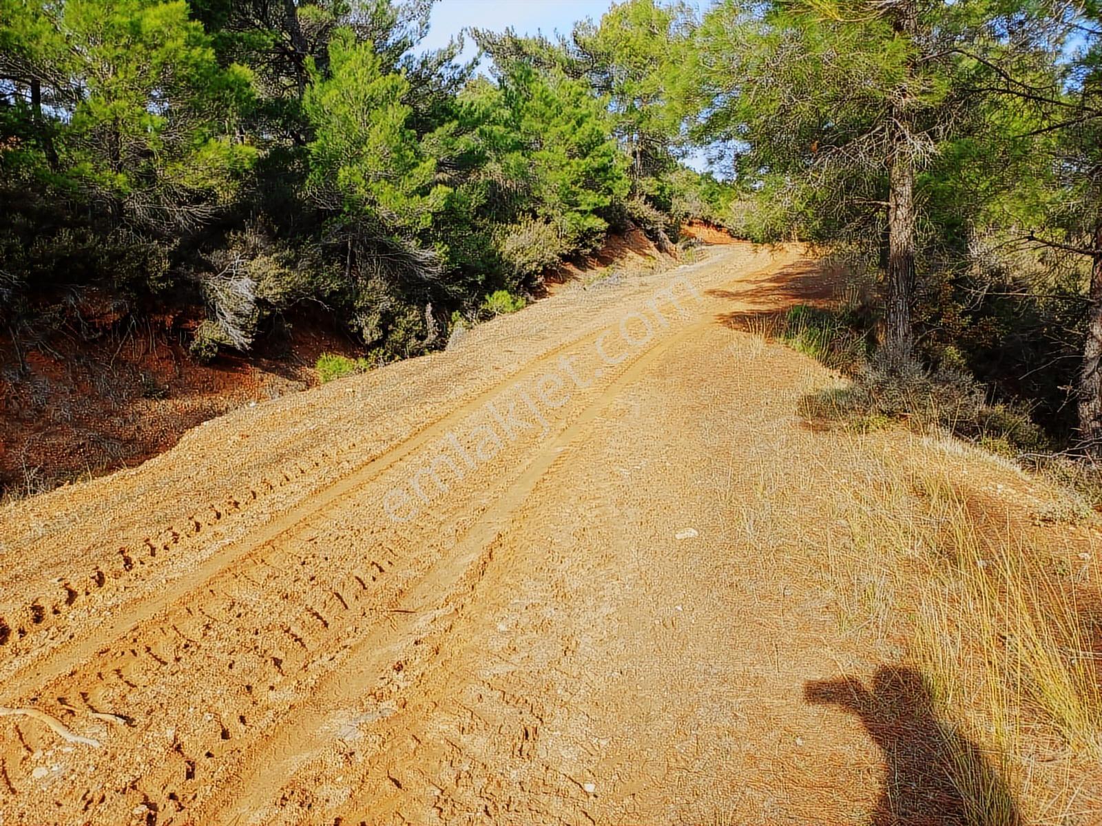 Çınar Gayrimenkulden Palamutobada 1.580 M2 Satılık Arazi - Görsel 25