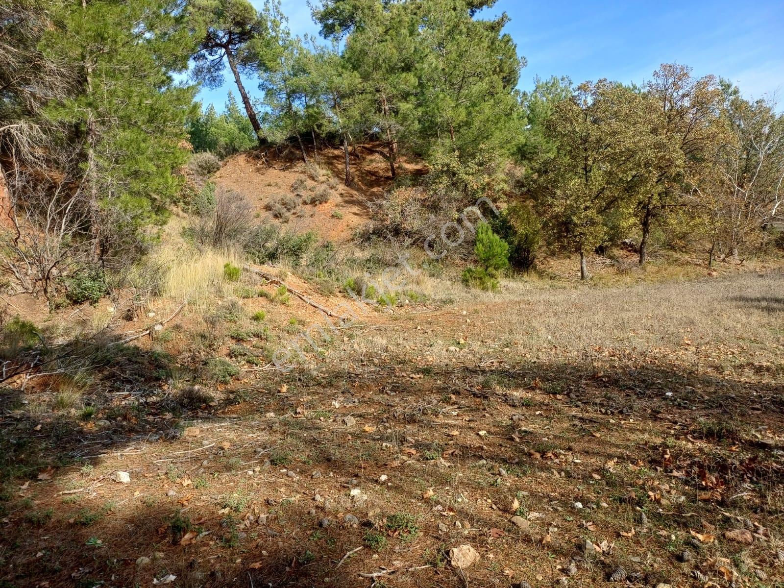 Çınar Gayrimenkulden Palamutobada 1.580 M2 Satılık Arazi - Görsel 22