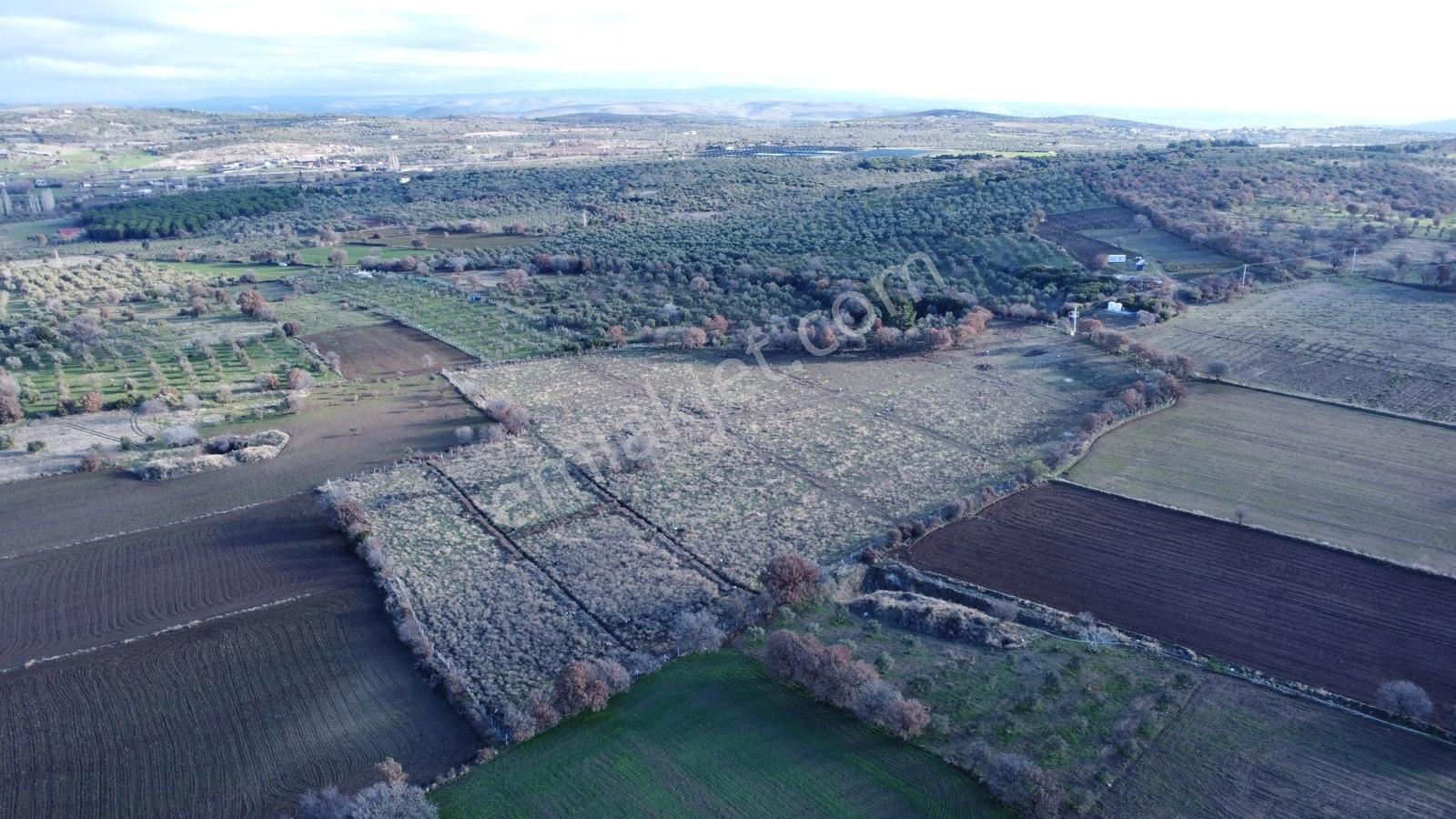 Çanakkale,ezine,gökçebayır Köyünde Satılık Hobi Bahçeleri - Görsel 20