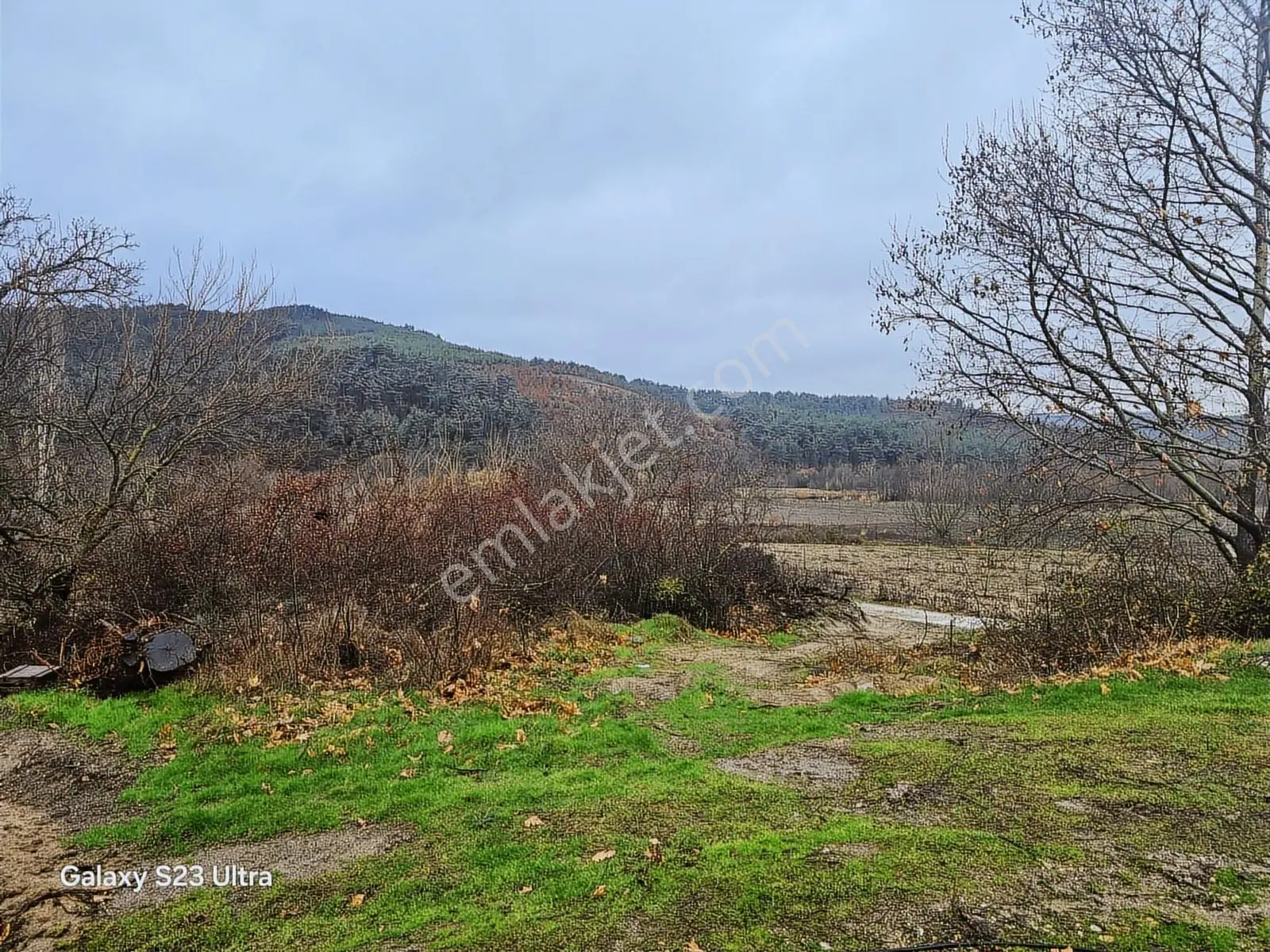 Çanakkale,bayramiç,gedik Köyünde Satılık Tarla - Görsel 4
