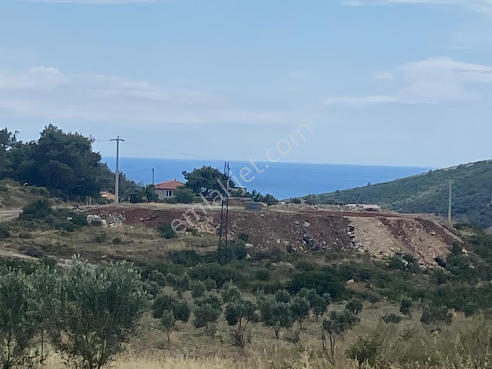 Urla Demircili – 6 Dönüm Deniz Manzaralı Tarla Mahkeme Satışı 5.8m