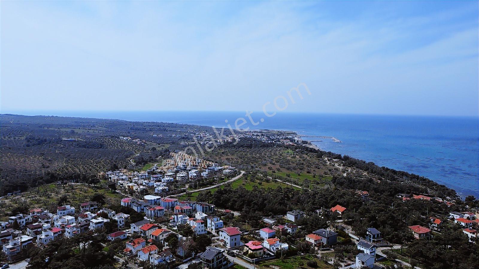 Çanakkale,ezine,dalyan Köyünde Satılık Arsa - Görsel 15
