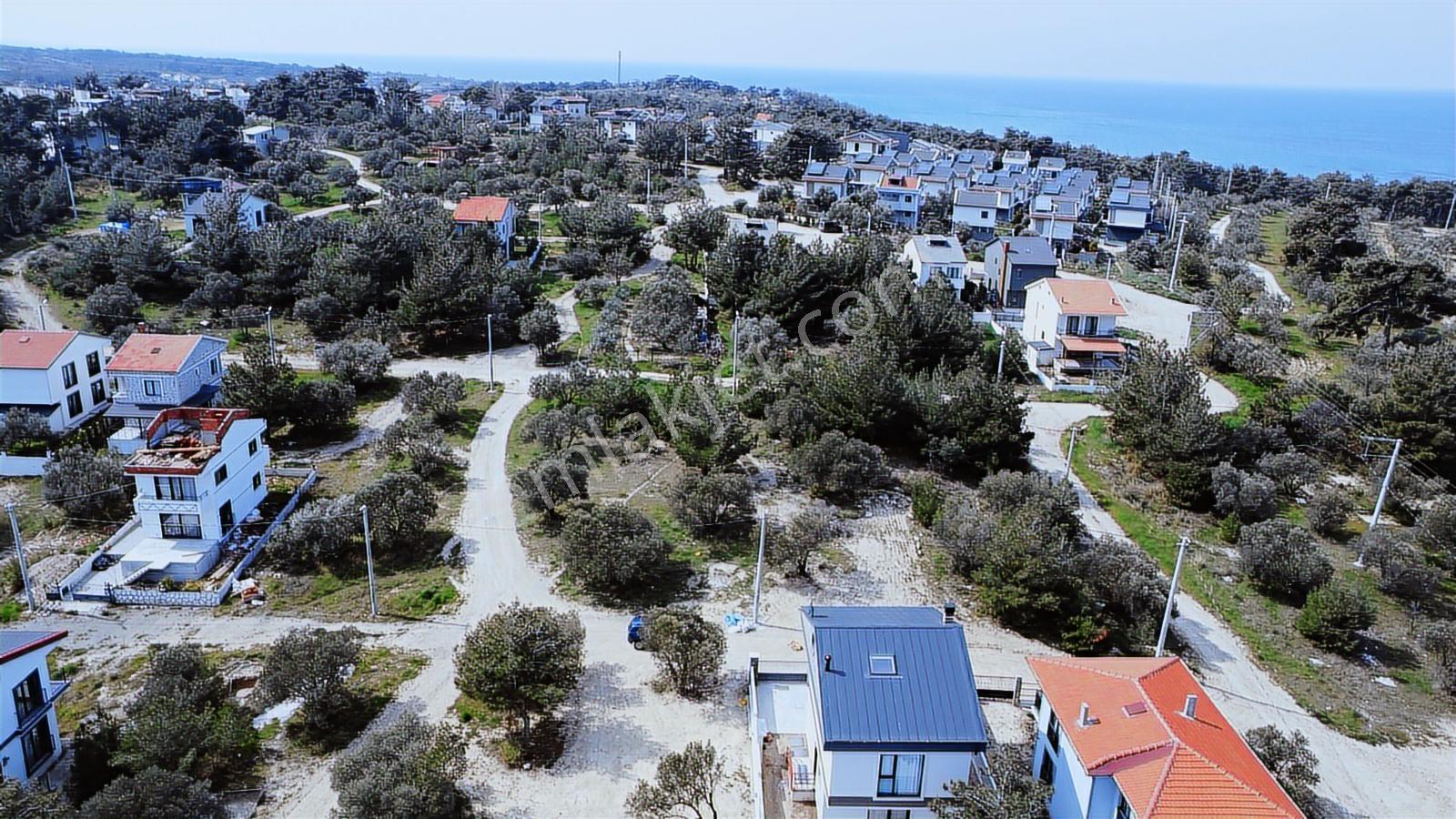 Çanakkale,ezine,dalyan Köyünde Satılık Arsa - Görsel 22