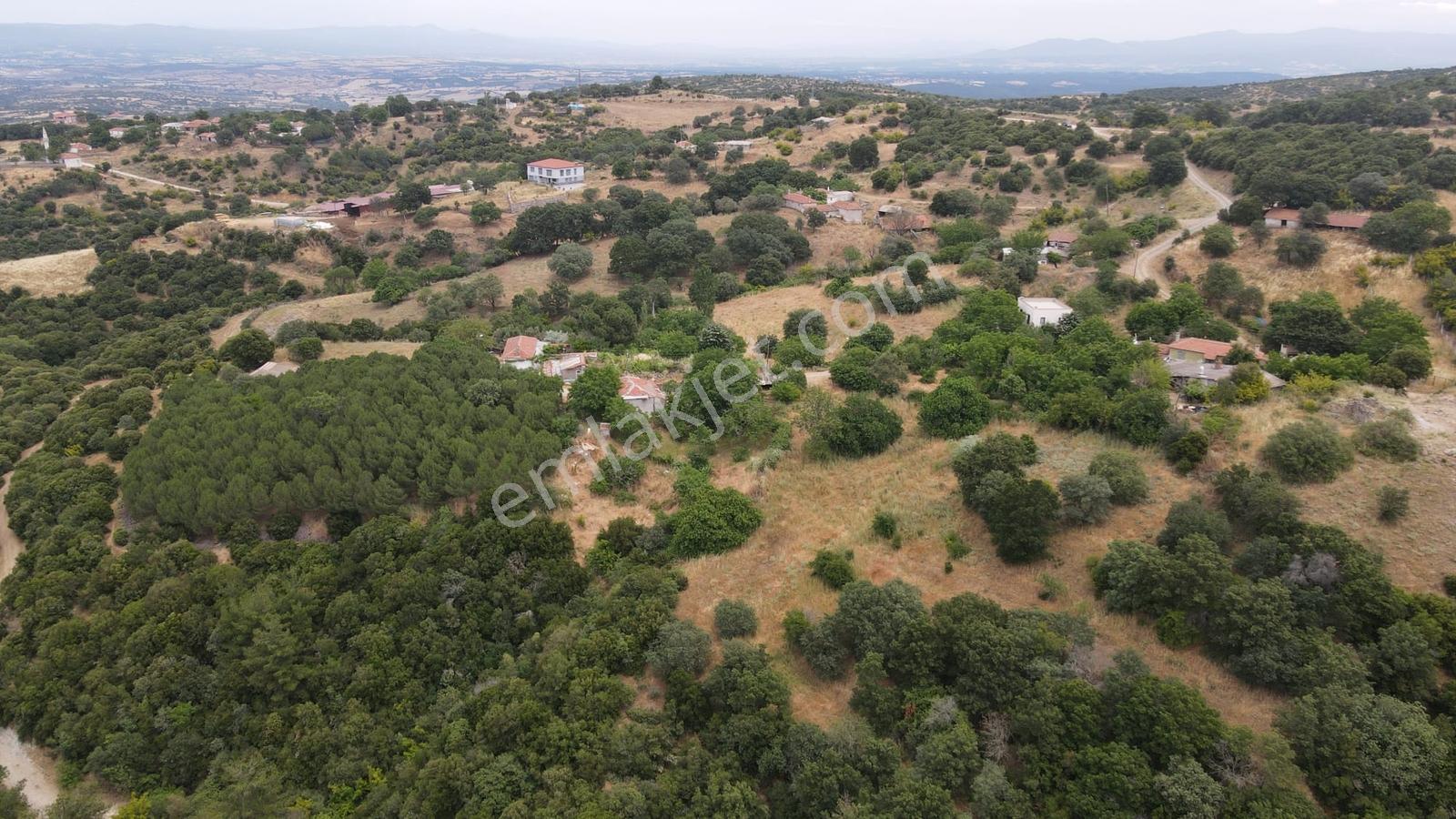 Çanakkale,ezine,sarpdere Köyünde Satılık İmarlı Arsa