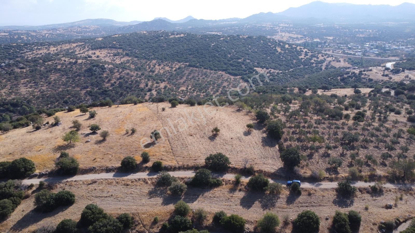 Çanakkale,ezine,körüktaşı Köyünde Satılık Tarla - Görsel 29