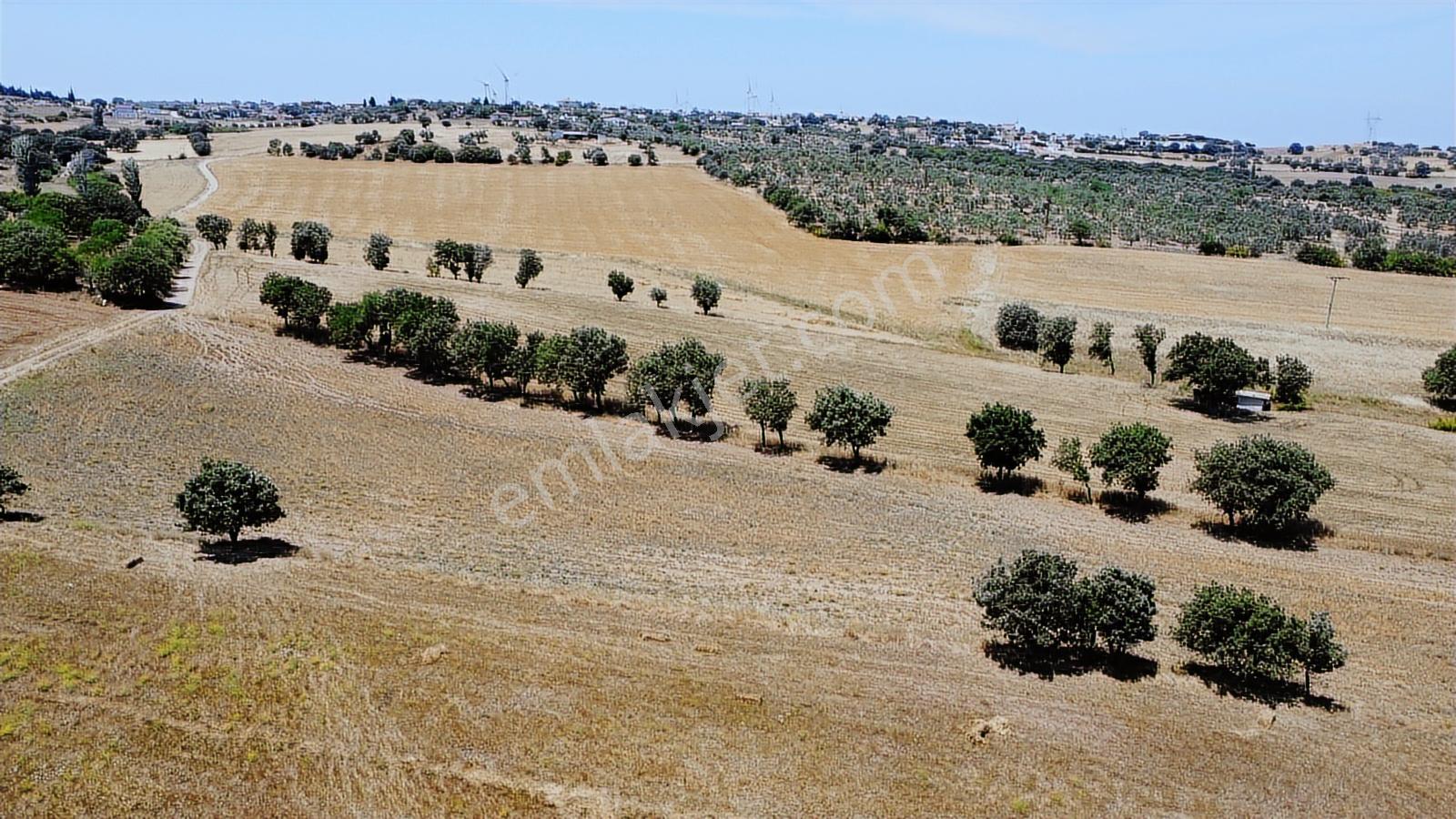 Çanakkale Ezine Üvecik Köyü Satılık Tarla - Görsel 15