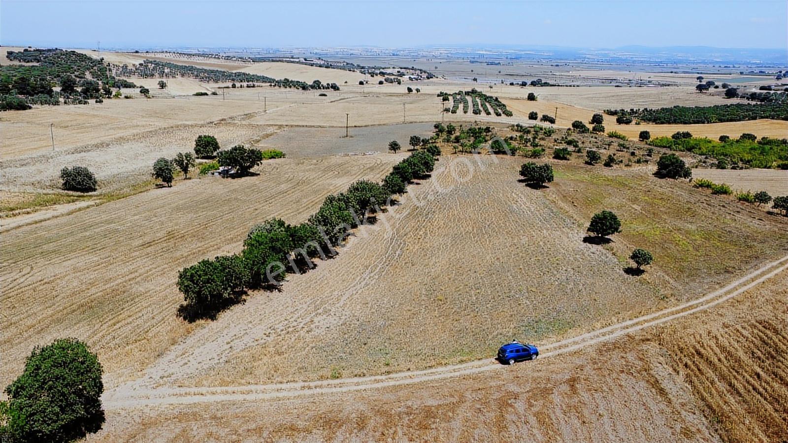 Çanakkale Ezine Üvecik Köyü Satılık Tarla - Görsel 25