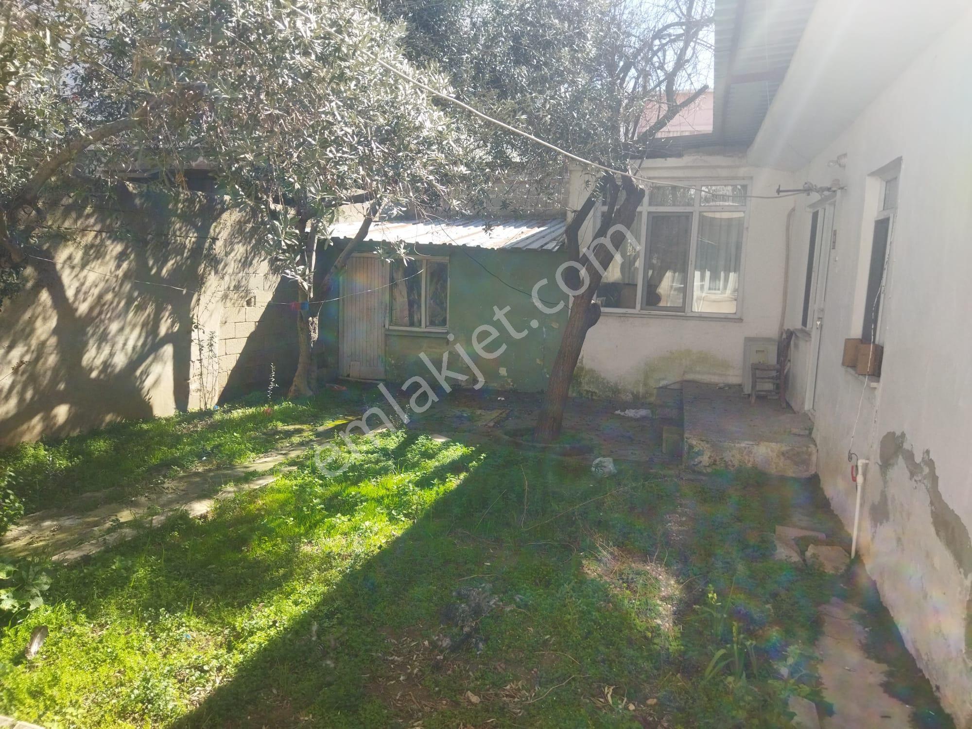 Çanakkale,ezine,camikebir Mahallesinde Satılık Müstakil Ev - Görsel 5