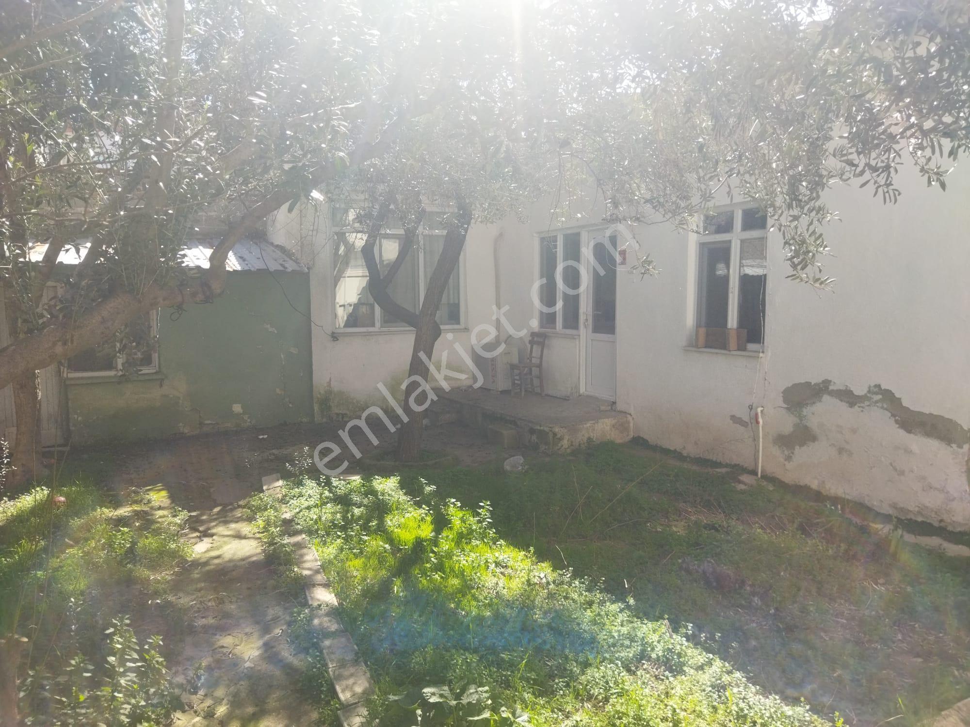 Çanakkale,ezine,camikebir Mahallesinde Satılık Müstakil Ev