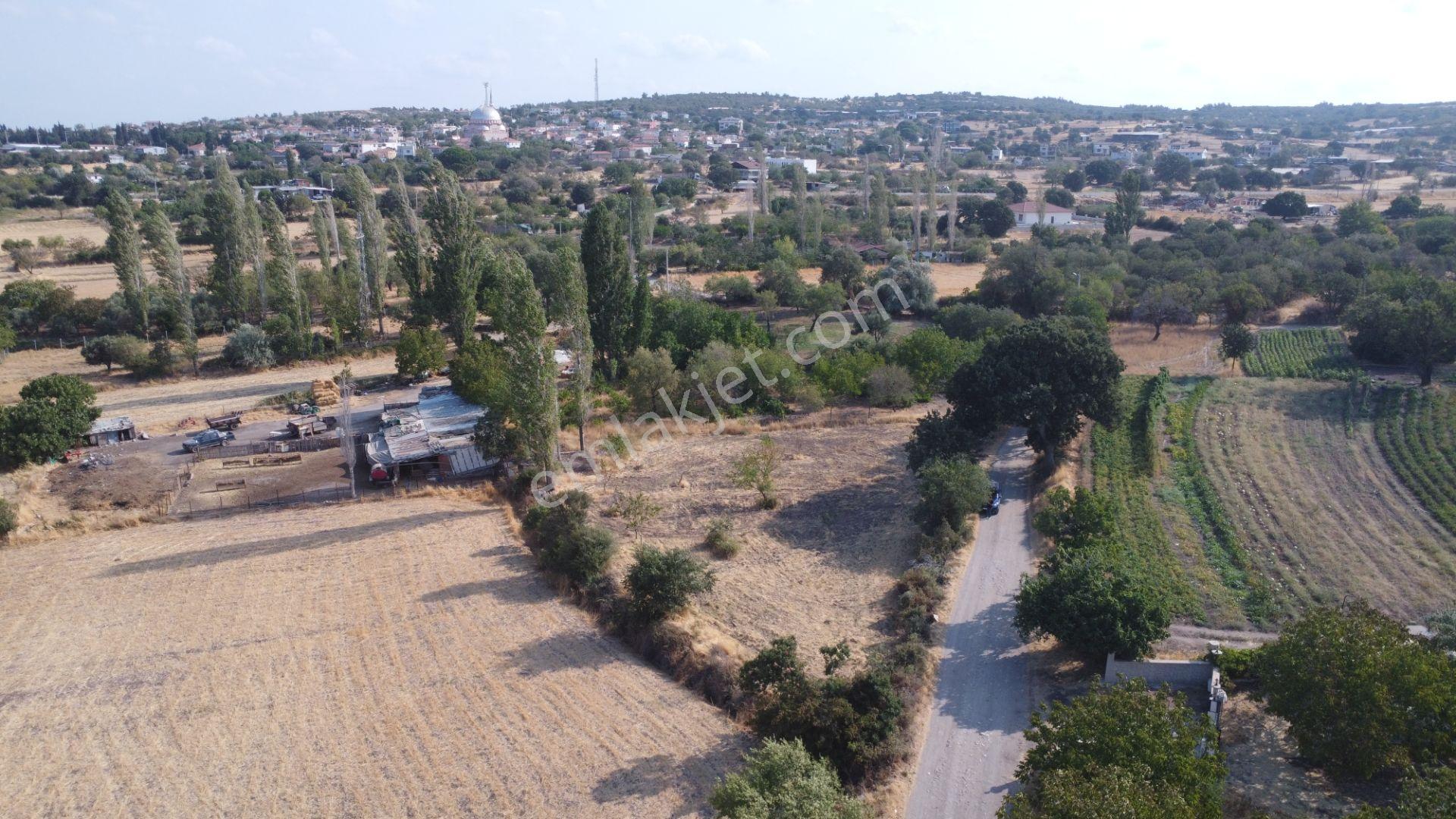 Çanakkale,ezine,gökçebayır Köyünde Satılık Tarla - Görsel 6