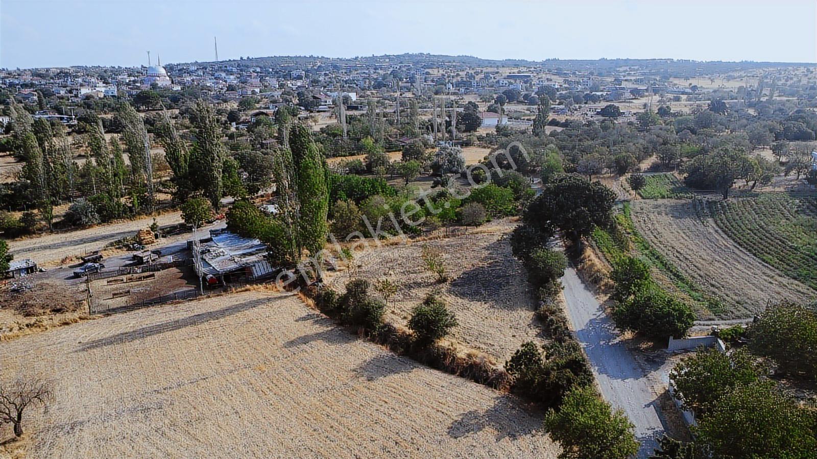 Çanakkale,ezine,gökçebayır Köyünde Satılık Tarla - Görsel 15