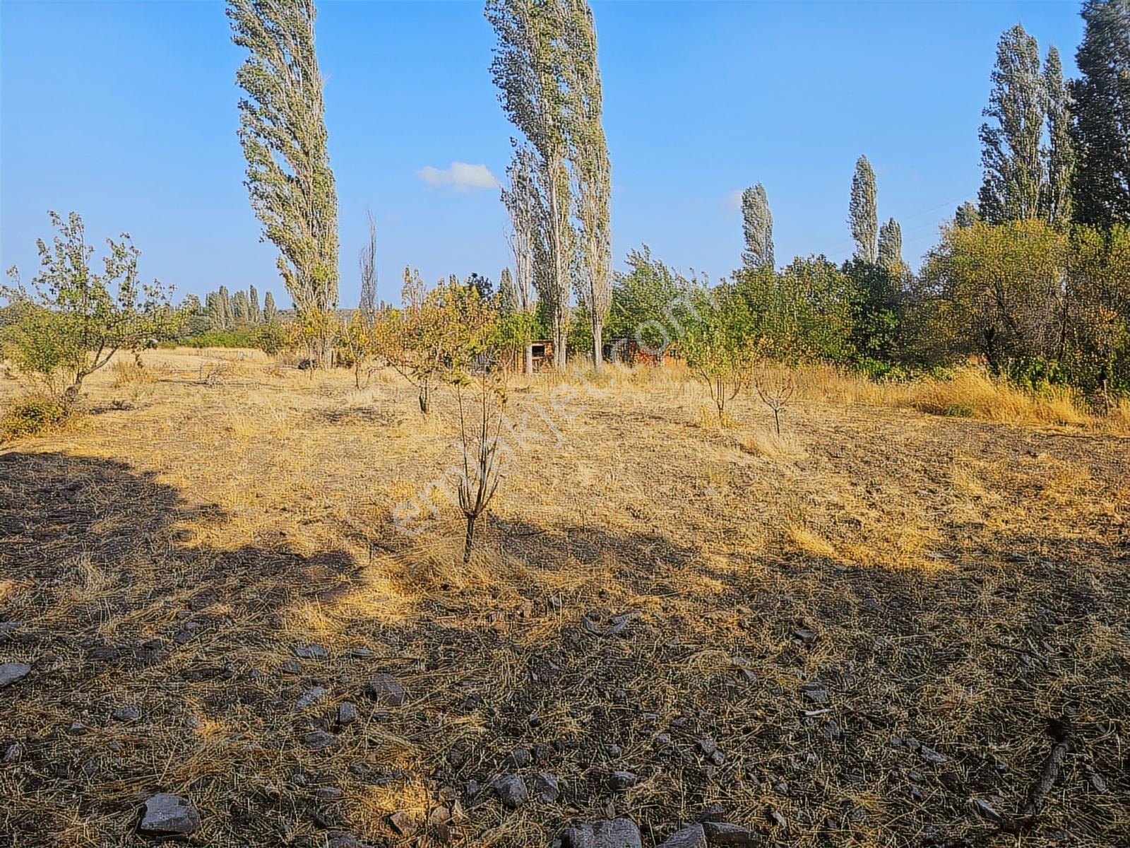 Çanakkale,ezine,gökçebayır Köyünde Satılık Tarla - Görsel 13