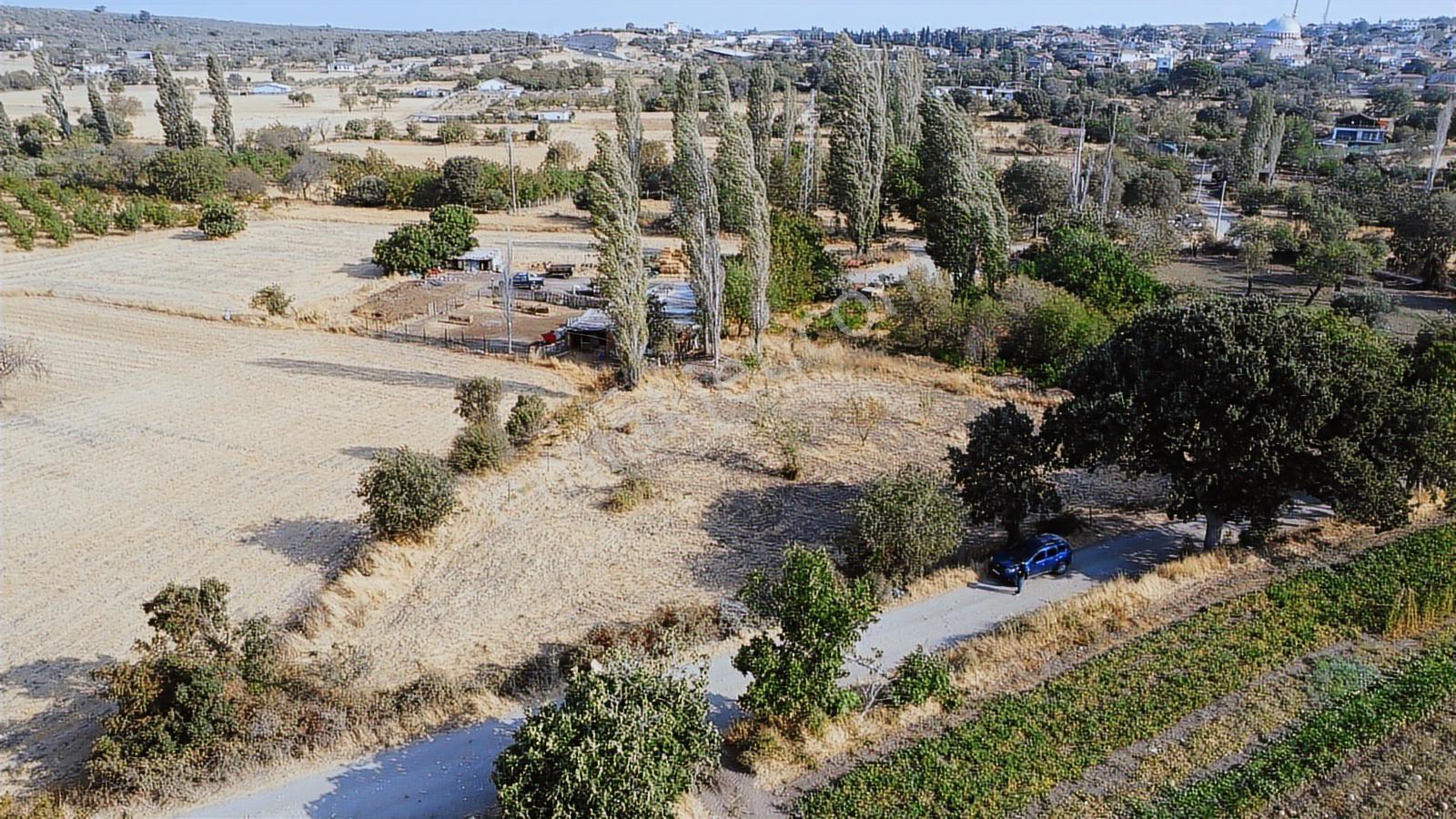 Çanakkale,ezine,gökçebayır Köyünde Satılık Tarla - Görsel 6