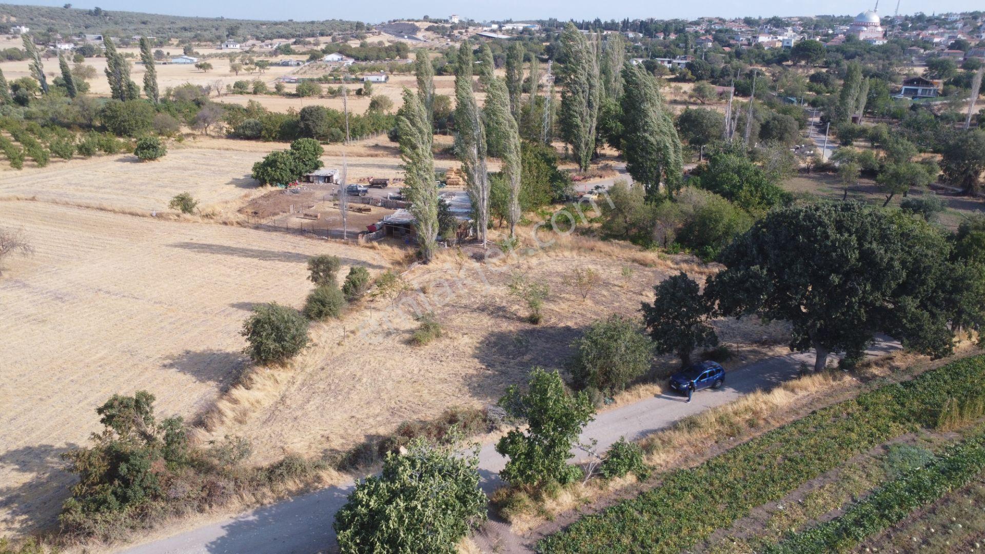 Çanakkale,ezine,gökçebayır Köyünde Satılık Tarla - Görsel 3