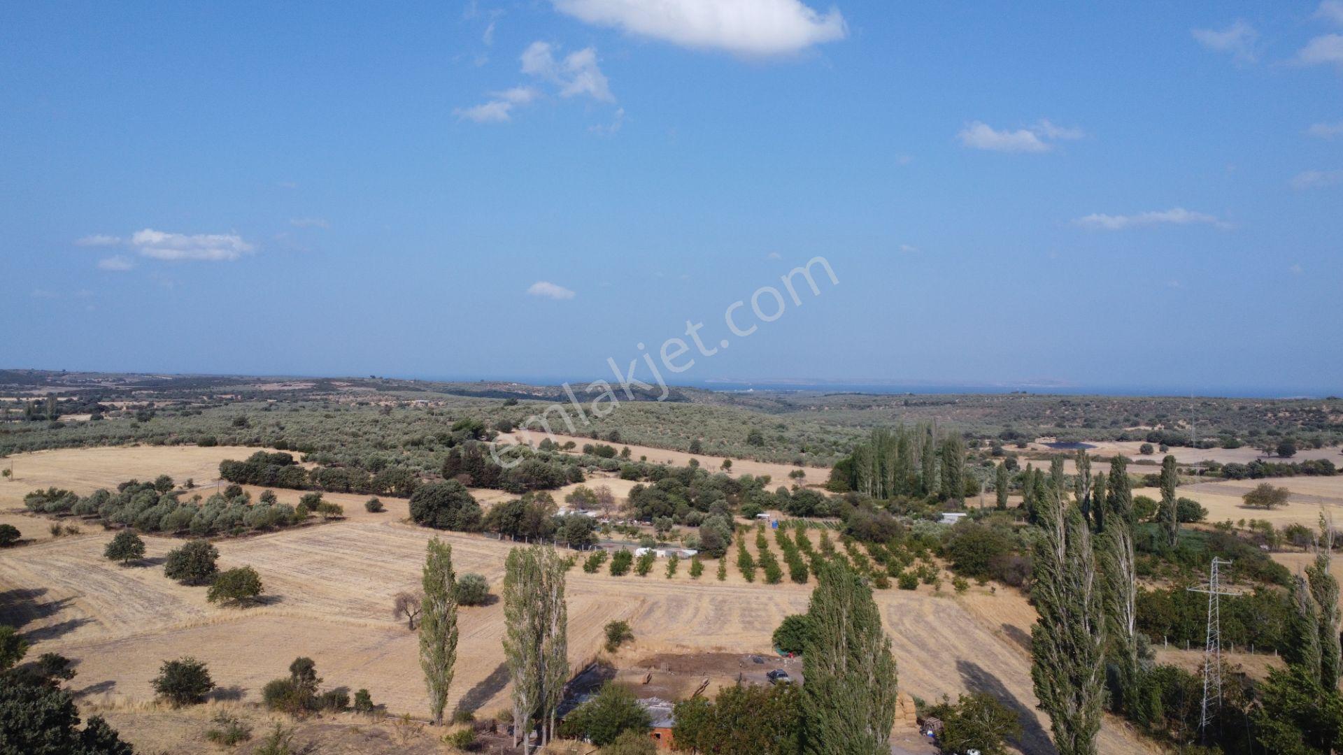 Çanakkale,ezine,gökçebayır Köyünde Satılık Tarla - Görsel 16