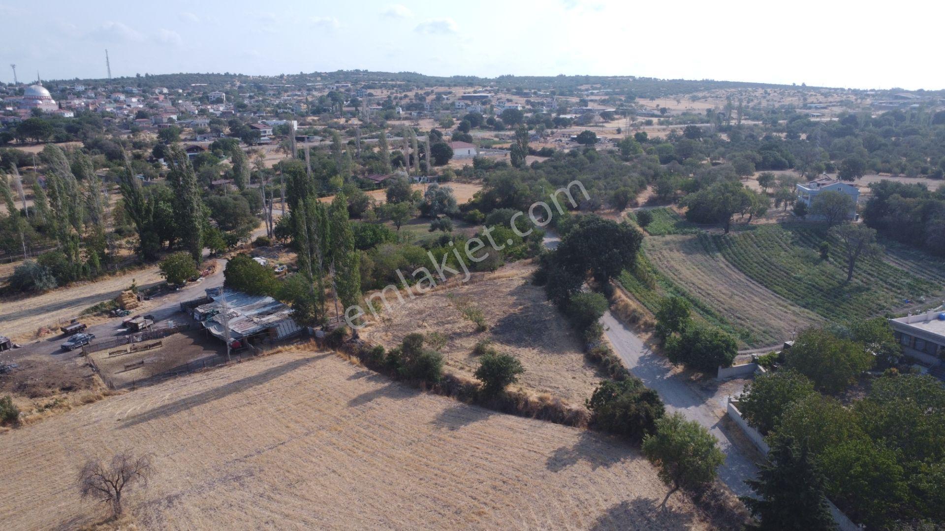Çanakkale,ezine,gökçebayır Köyünde Satılık Tarla - Görsel 10