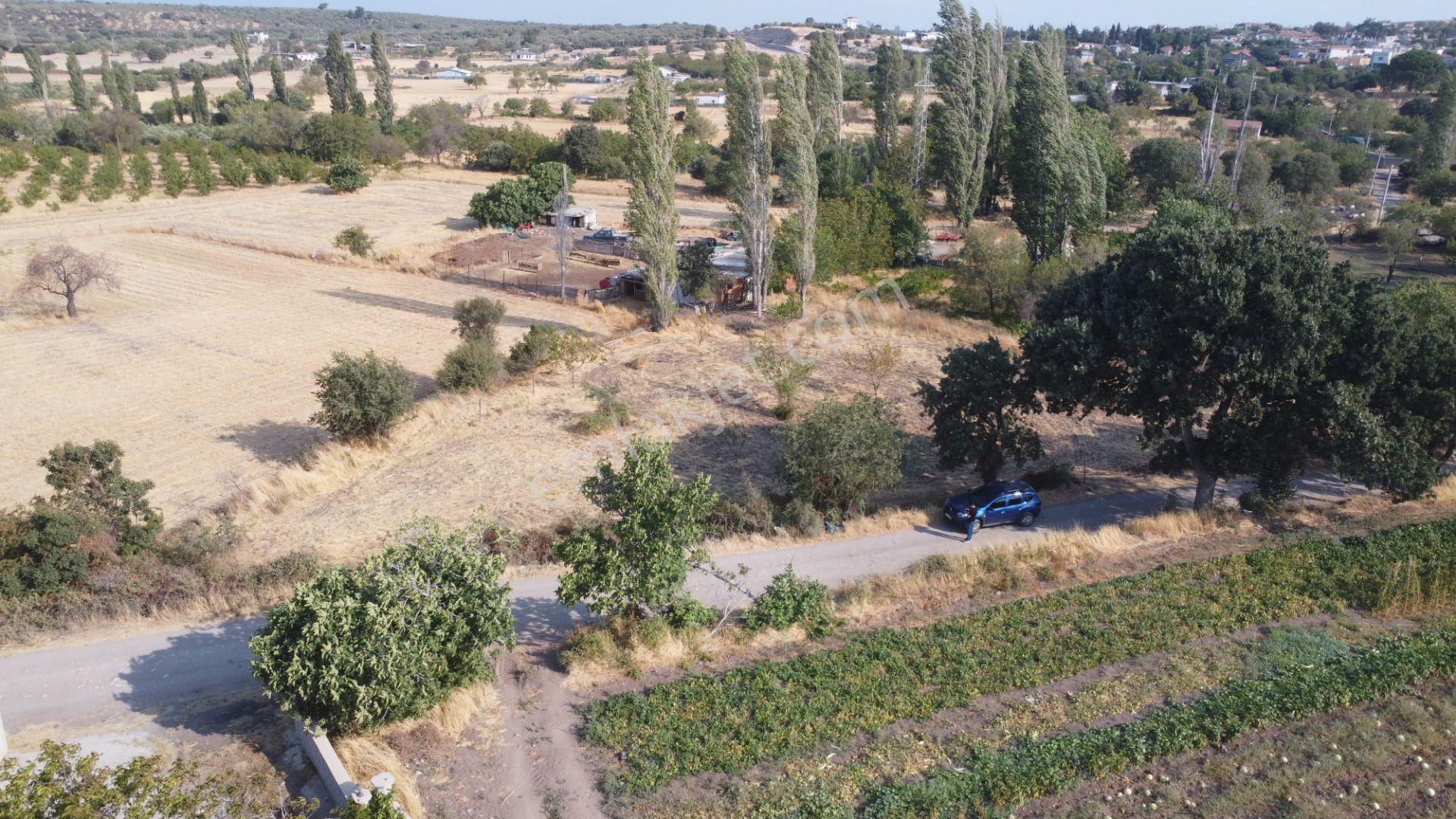 Çanakkale,ezine,gökçebayır Köyünde Satılık Tarla