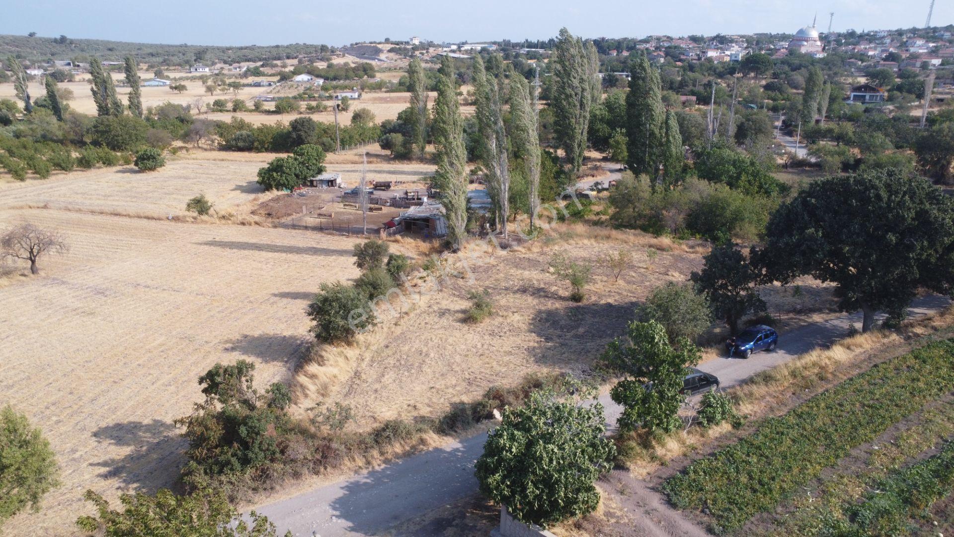Çanakkale,ezine,gökçebayır Köyünde Satılık Tarla - Görsel 4