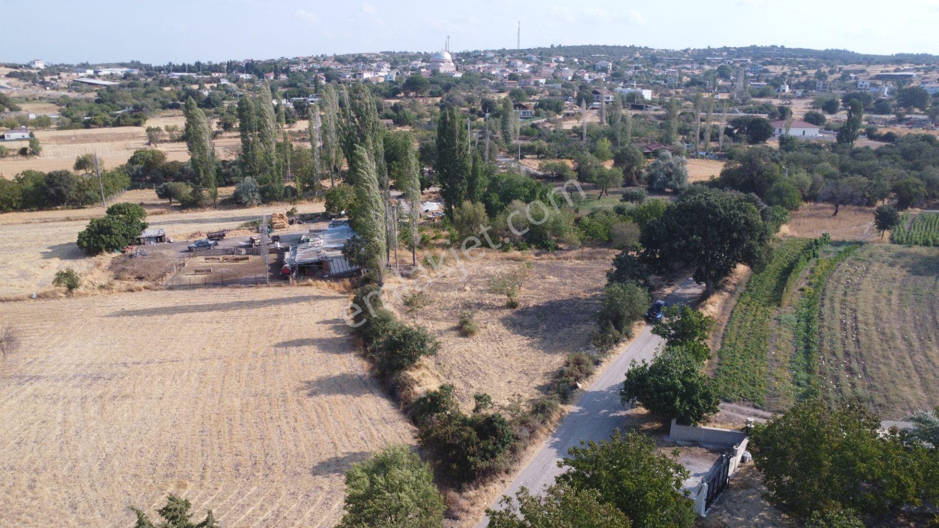 Çanakkale,ezine,gökçebayır Köyünde Satılık Tarla - Görsel 5
