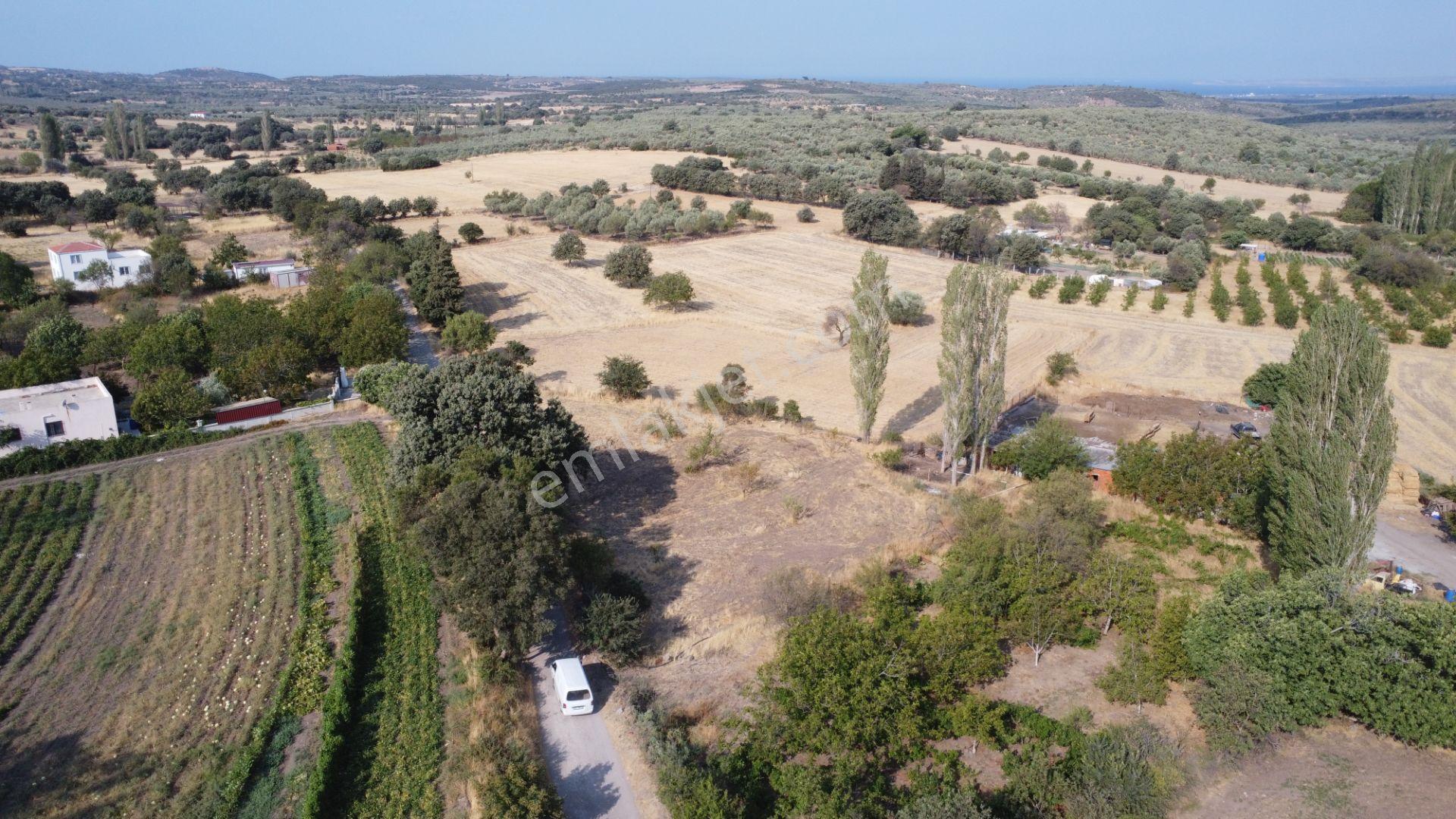 Çanakkale,ezine,gökçebayır Köyünde Satılık Tarla - Görsel 12