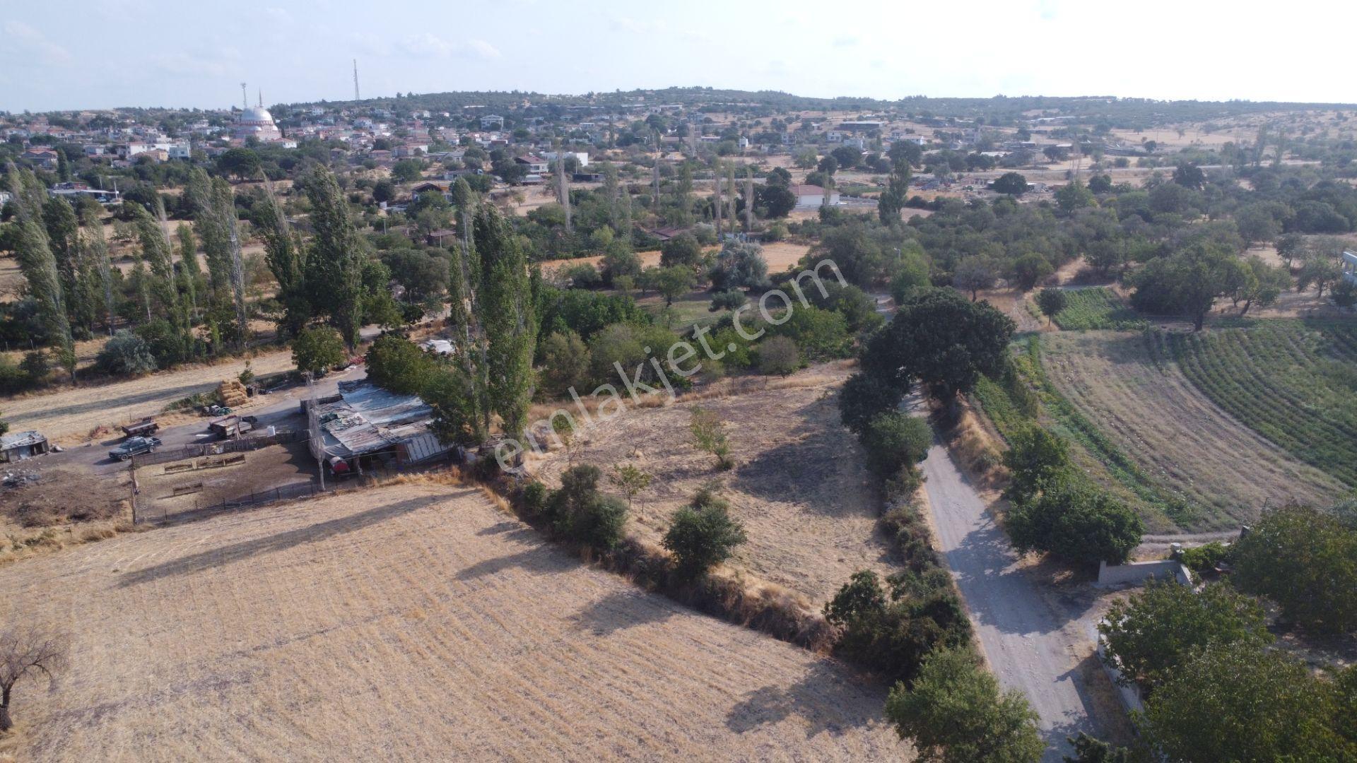 Çanakkale,ezine,gökçebayır Köyünde Satılık Tarla - Görsel 7