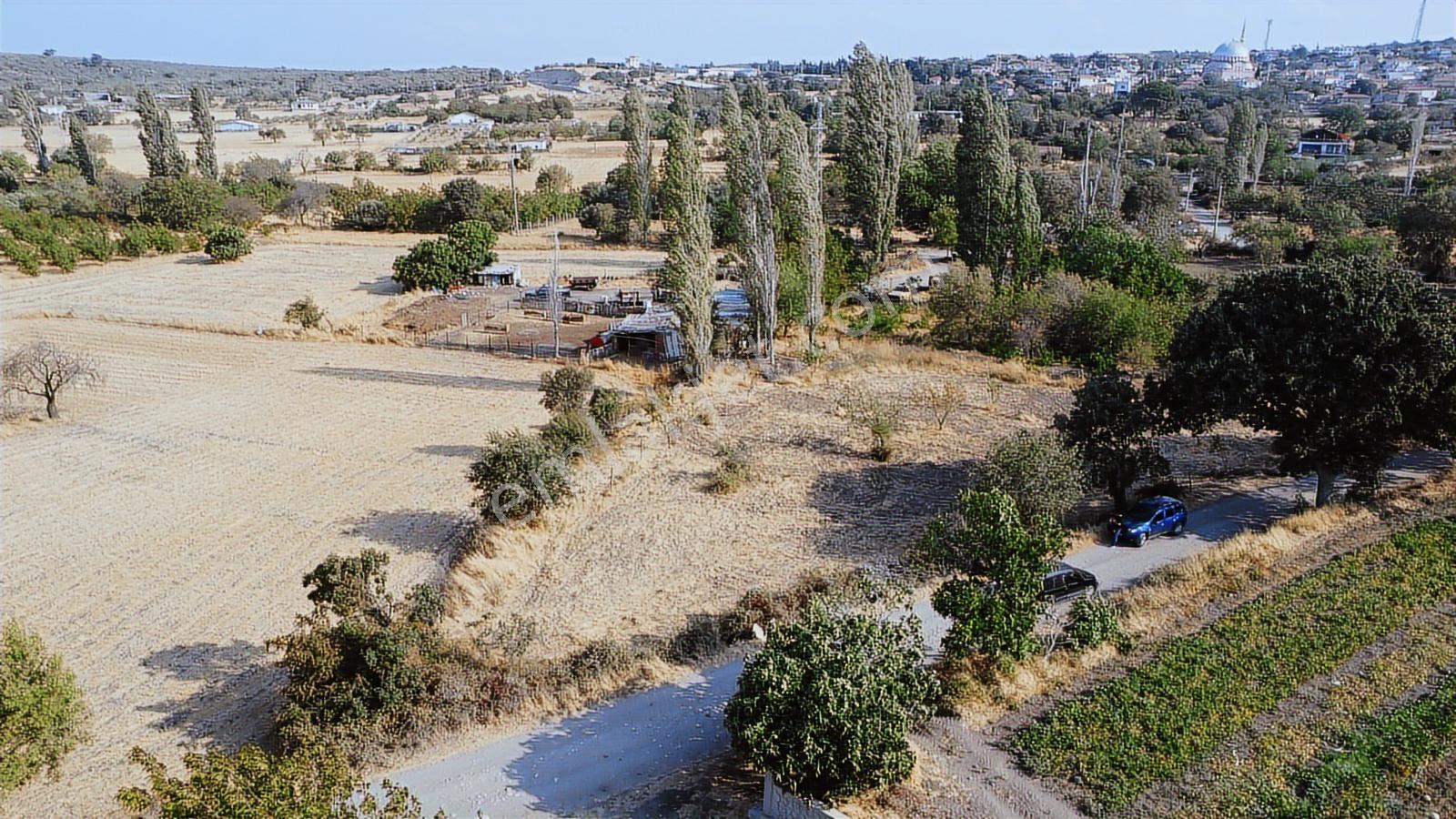 Çanakkale,ezine,gökçebayır Köyünde Satılık Tarla - Görsel 7