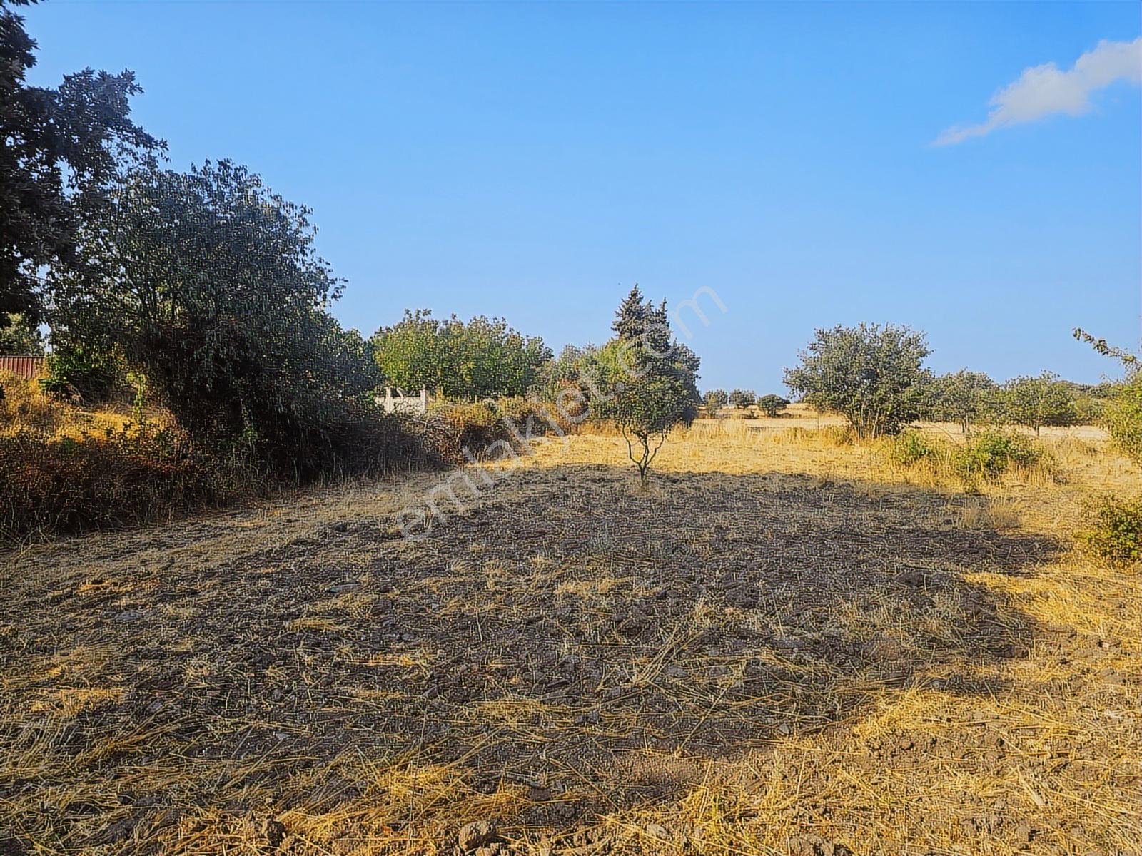 Çanakkale,ezine,gökçebayır Köyünde Satılık Tarla - Görsel 9