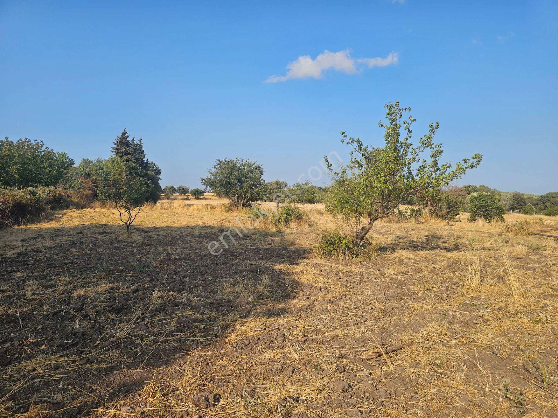 Çanakkale,ezine,gökçebayır Köyünde Satılık Tarla - Görsel 26