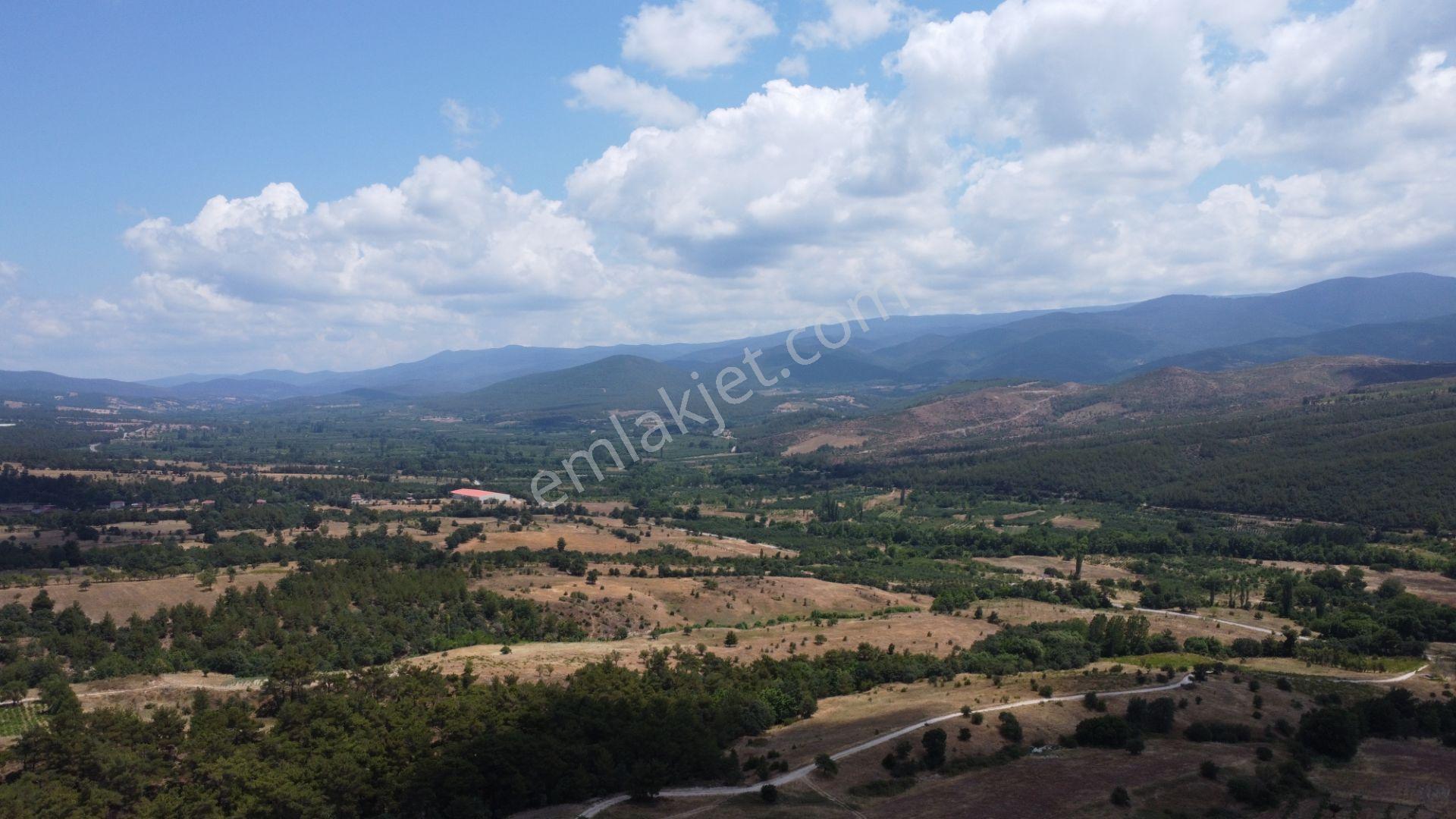 Çanakkale,bayramiç,sarıot Köyünde Satılık Tarla - Görsel 16