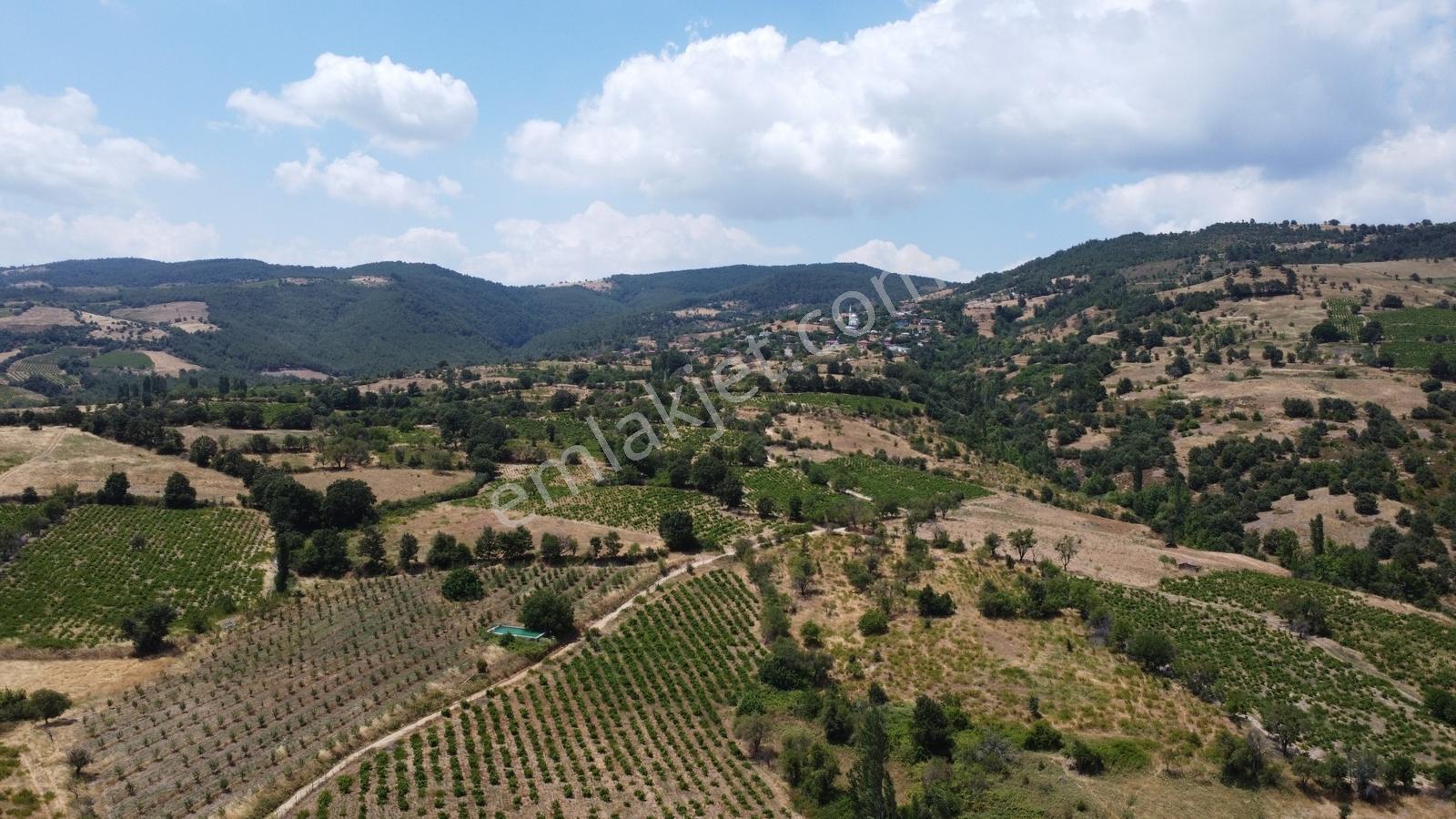Çanakkale,bayramiç,sarıot Köyünde Satılık Tarla - Görsel 8