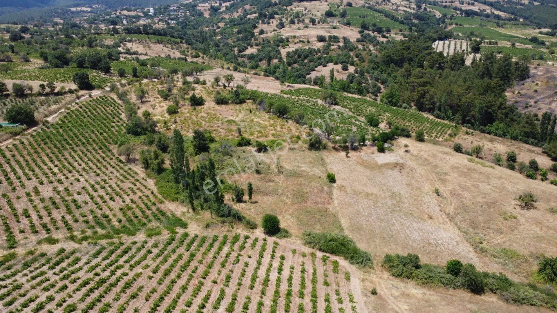 Çanakkale,bayramiç,sarıot Köyünde Satılık Tarla