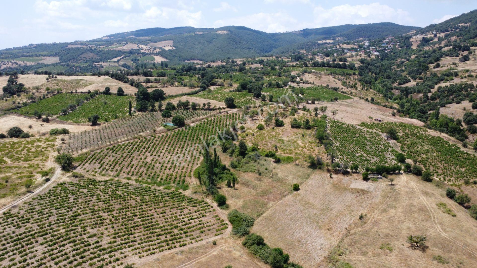 Çanakkale,bayramiç,sarıot Köyünde Satılık Tarla - Görsel 8