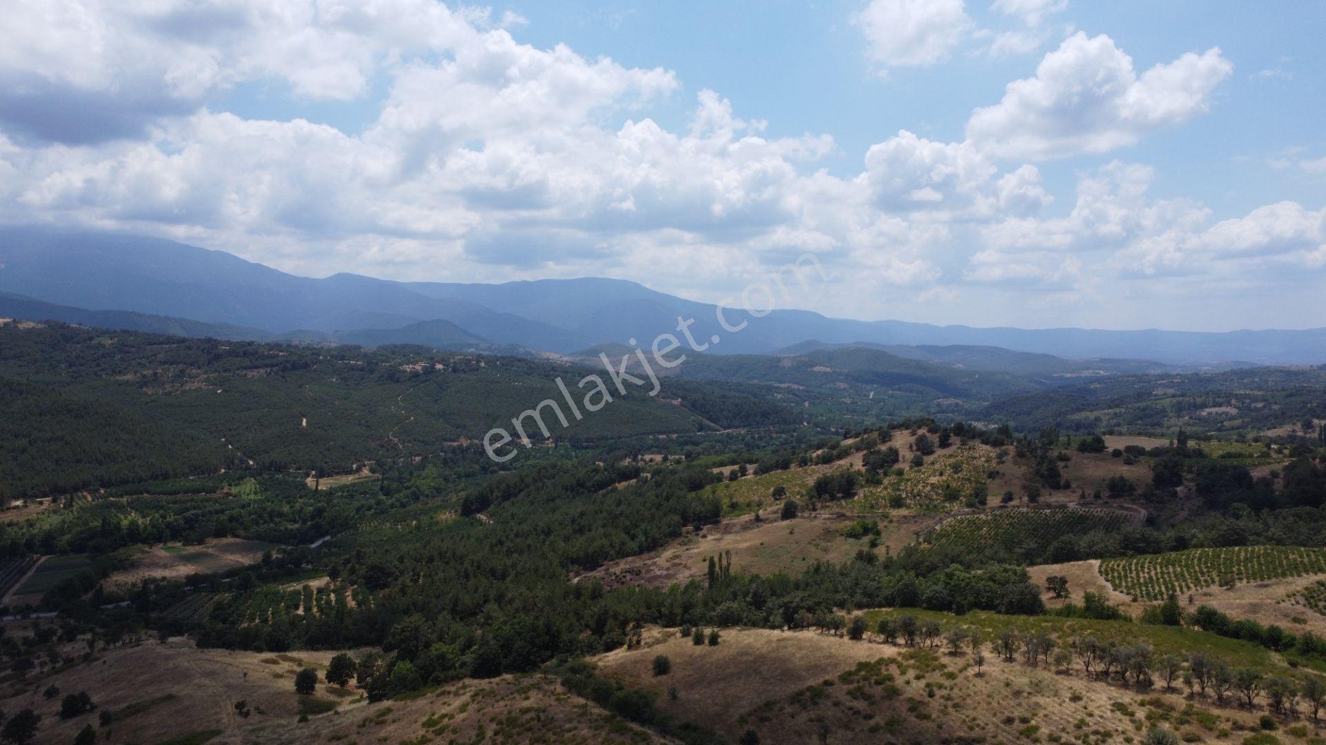 Çanakkale,bayramiç,sarıot Köyünde Satılık Tarla - Görsel 20