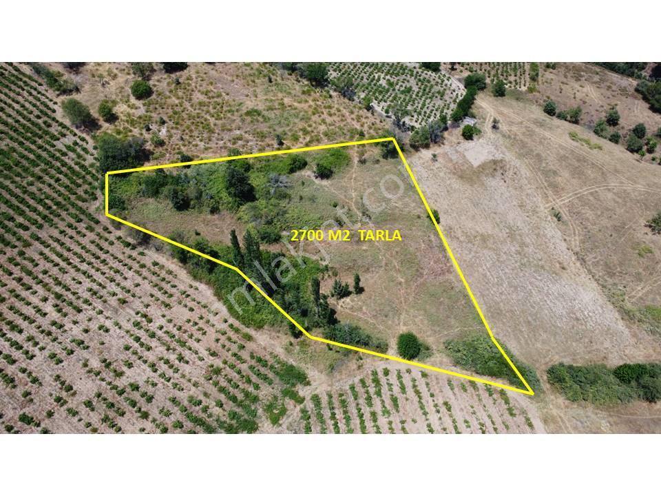 Çanakkale,bayramiç,sarıot Köyünde Satılık Tarla - Görsel 14