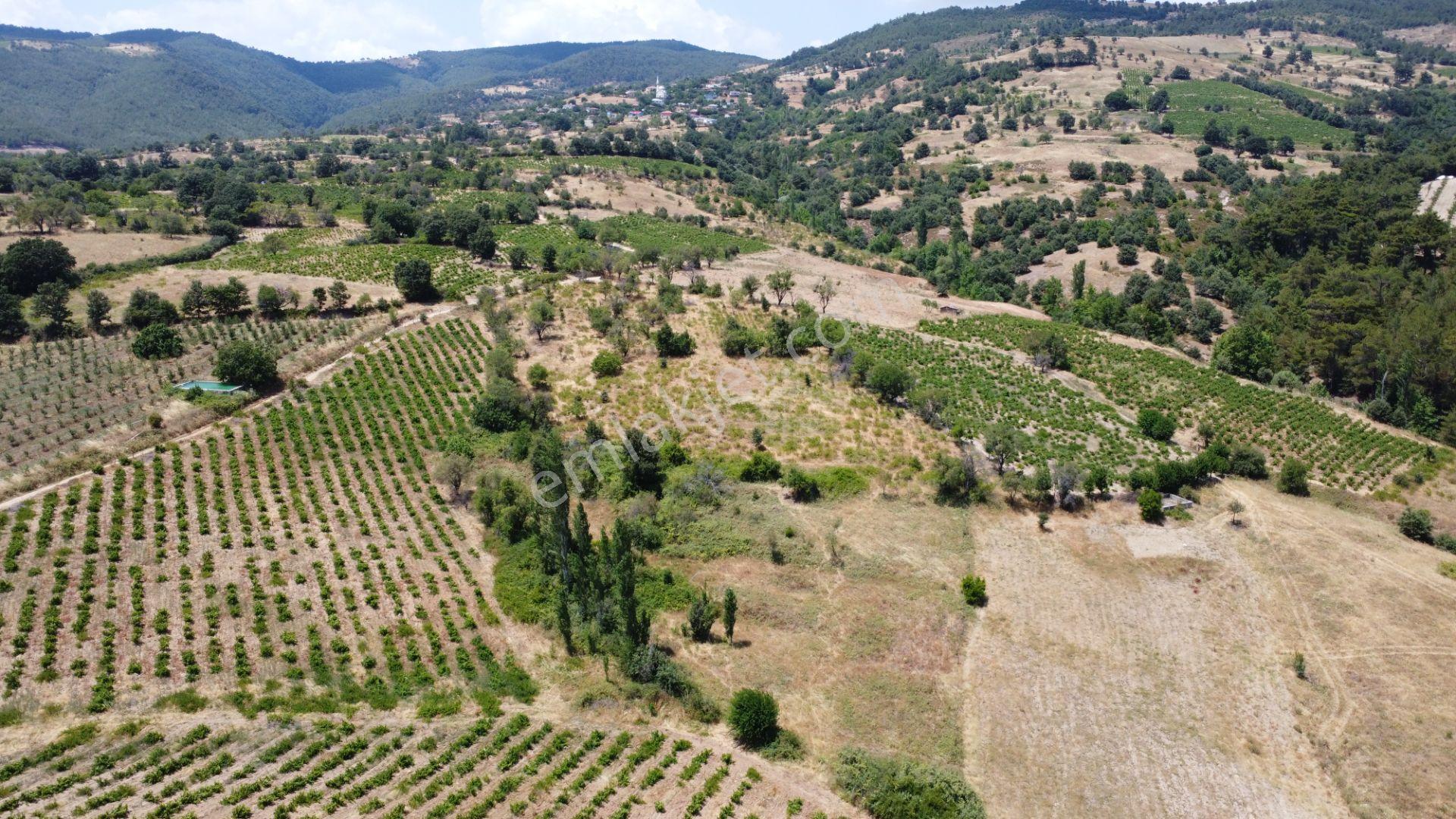 Çanakkale,bayramiç,sarıot Köyünde Satılık Tarla - Görsel 2