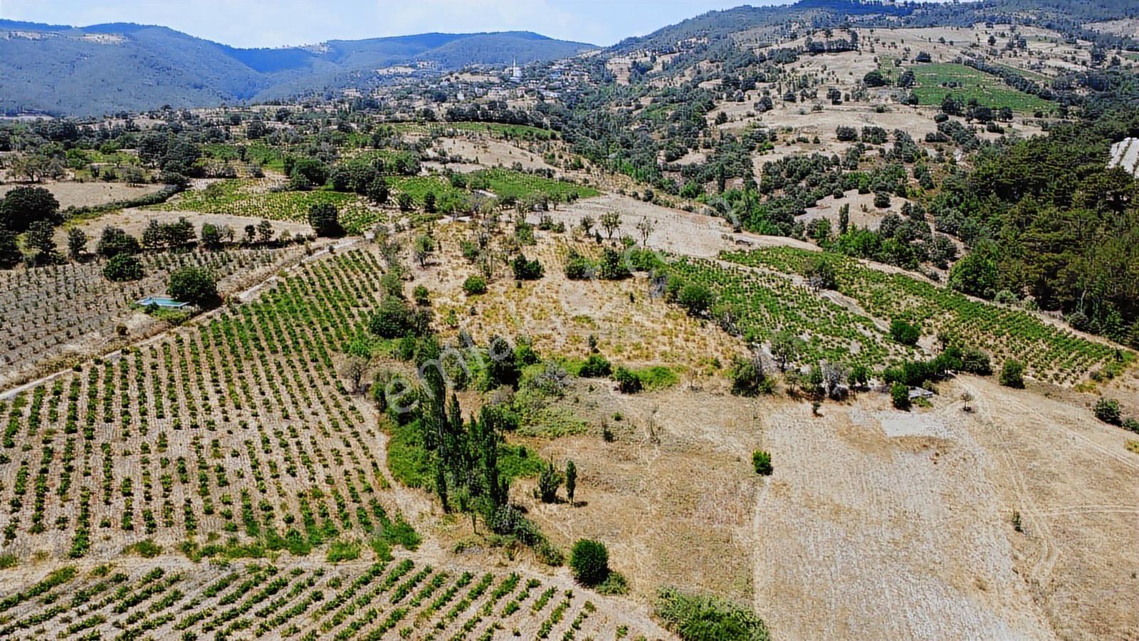 Çanakkale,bayramiç,sarıot Köyünde Satılık Tarla - Görsel 11