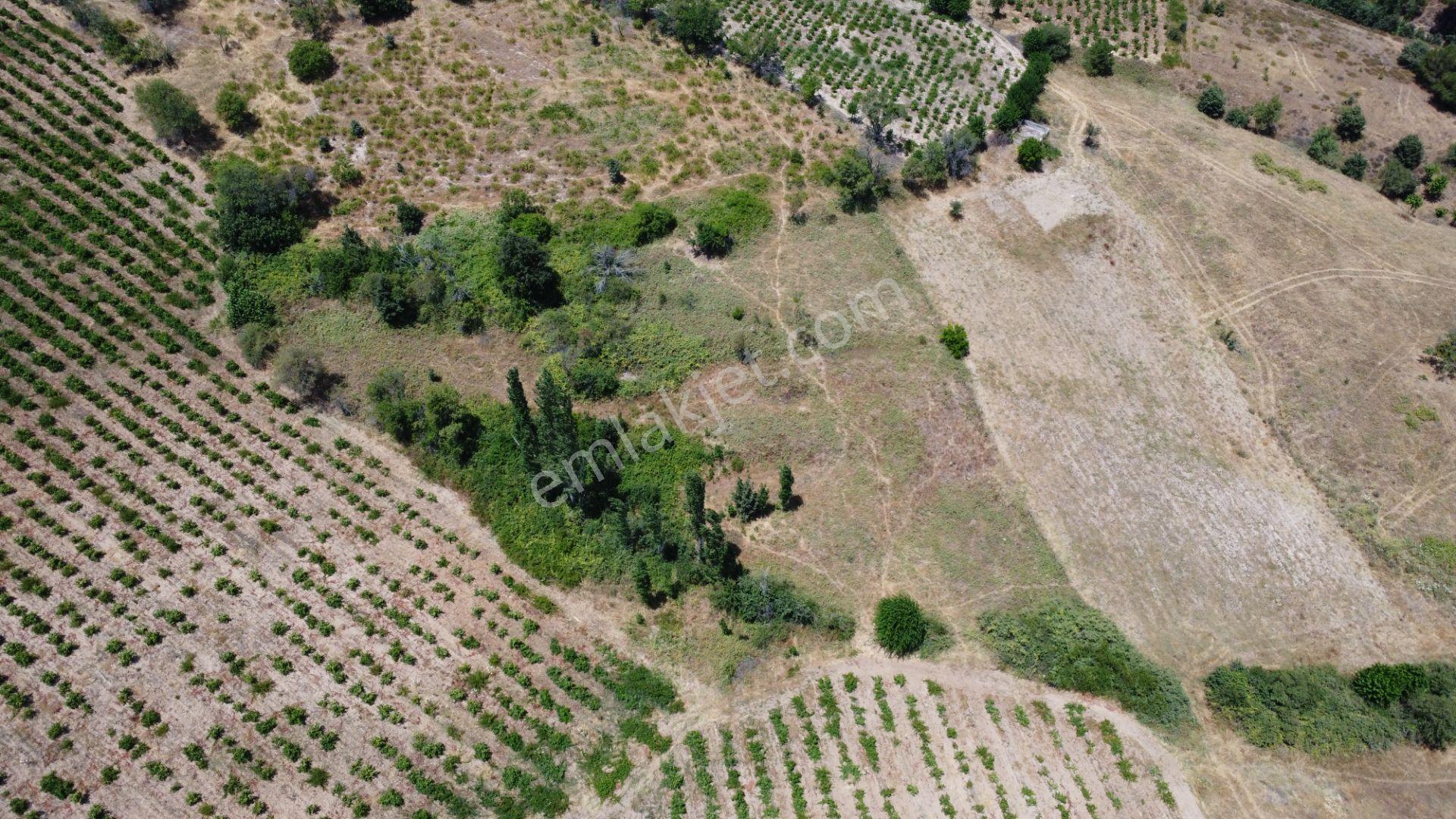 Çanakkale,bayramiç,sarıot Köyünde Satılık Tarla - Görsel 13