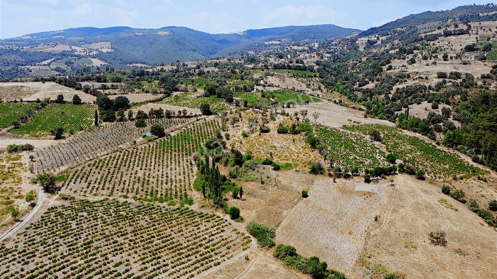 Çanakkale,bayramiç,sarıot Köyünde Satılık Tarla - Görsel 12