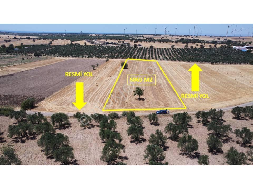Çanakkale,ezine,üvecik Köyünde Satılık Tarla