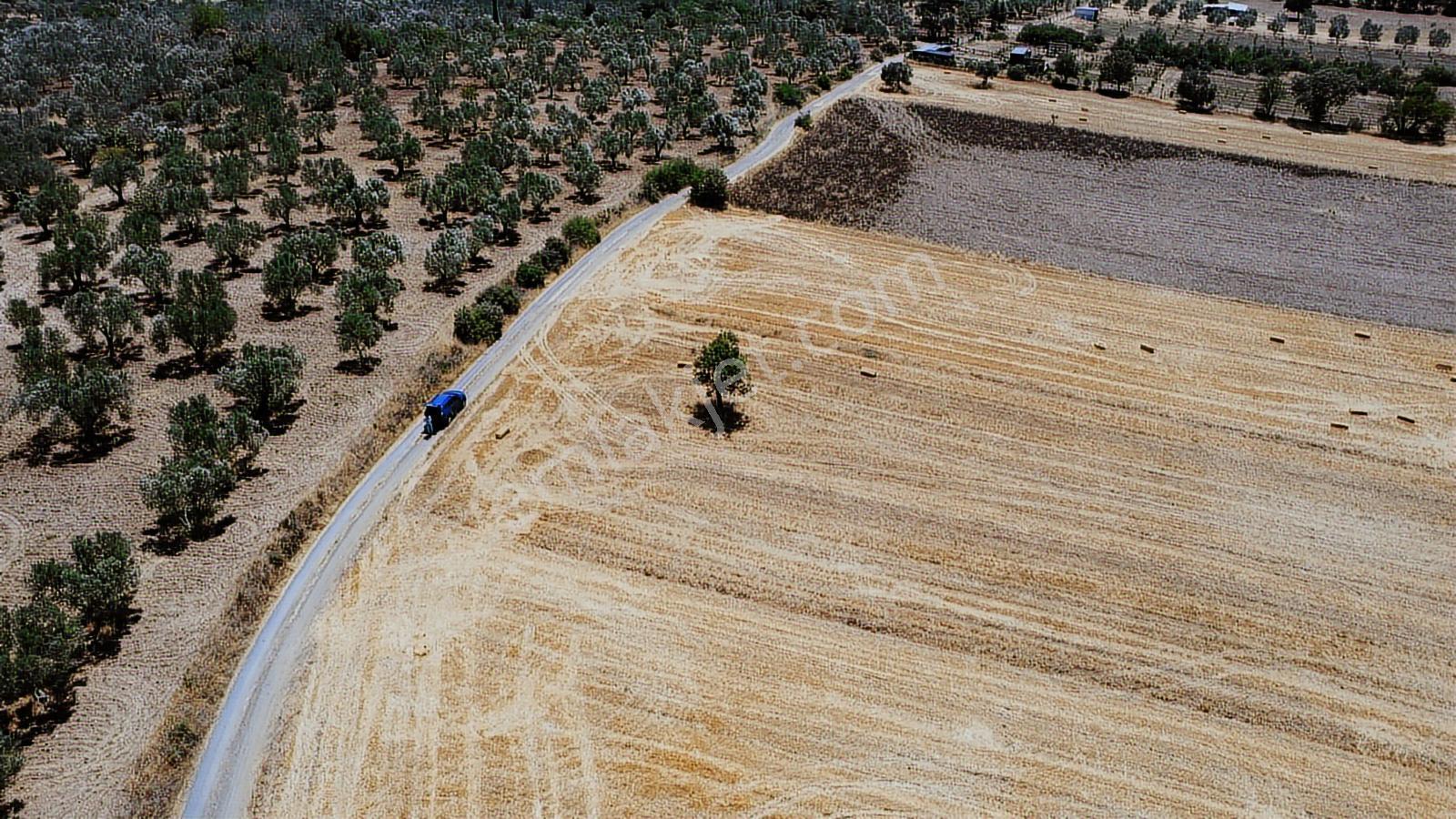 Çanakkale,ezine,üvecik Köyünde Satılık Tarla - Görsel 16
