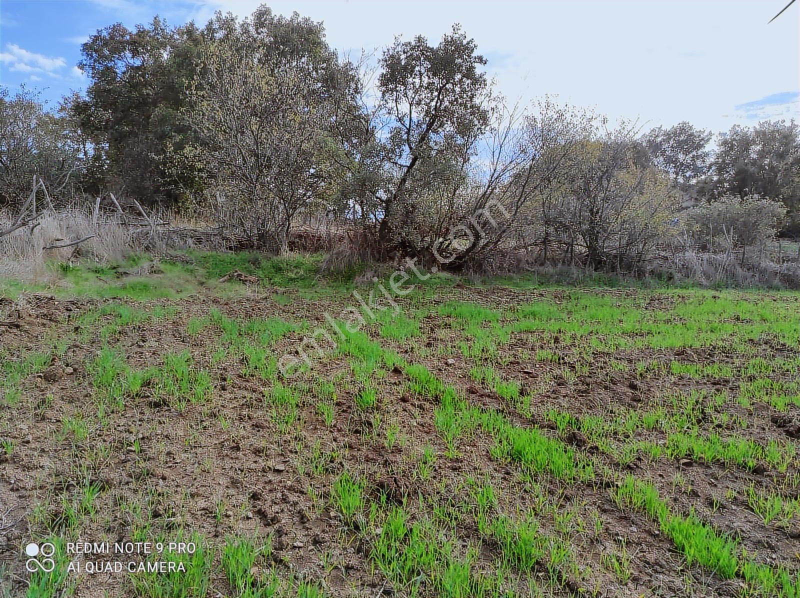 Çanakkale,bayramiç,kaykılar Köyünde Satılık Tarla - Görsel 11