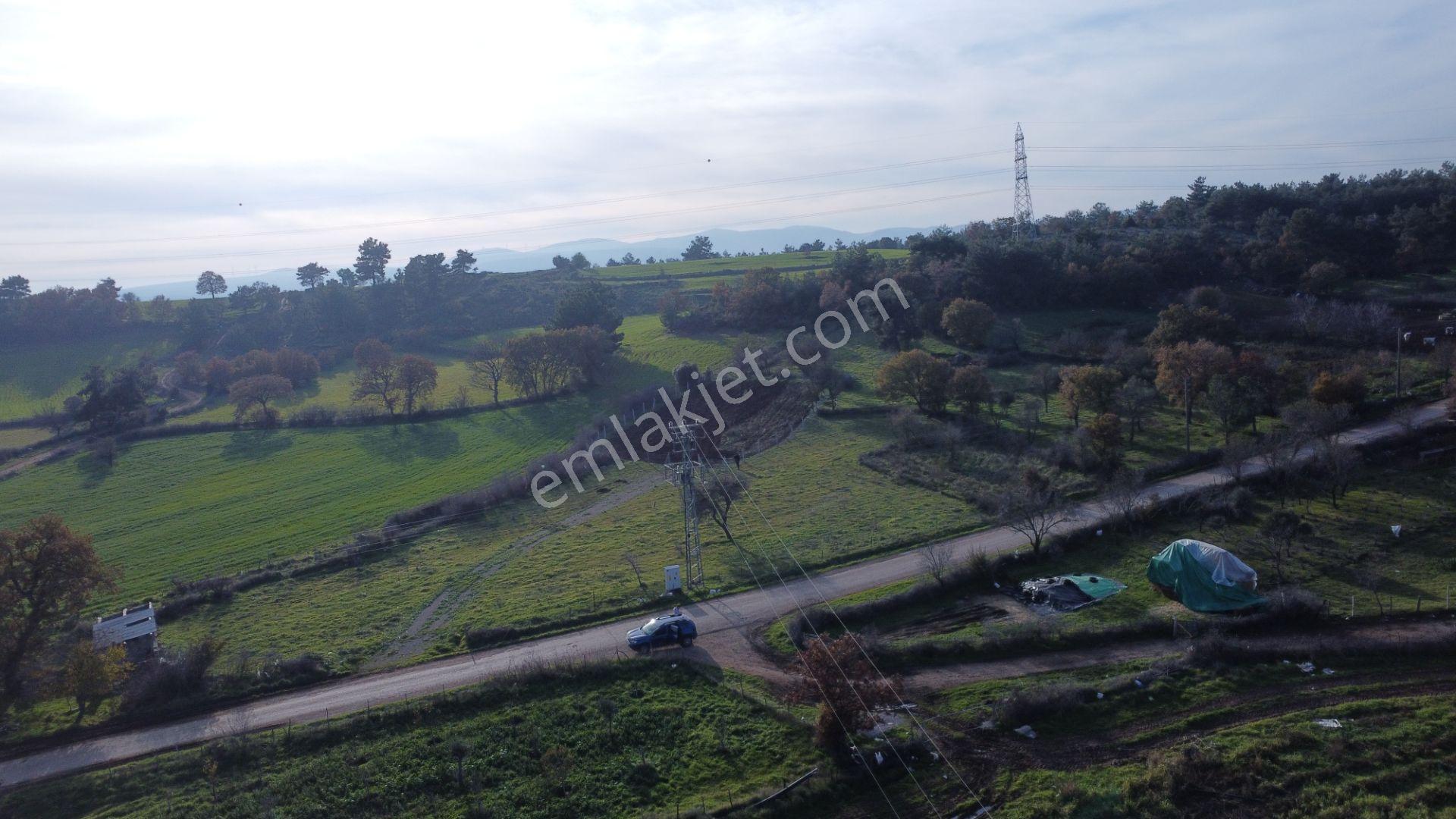 Çanakkale,ezine,karagömlek Köyünde Satılık Arsa Ve Tarla - Görsel 18