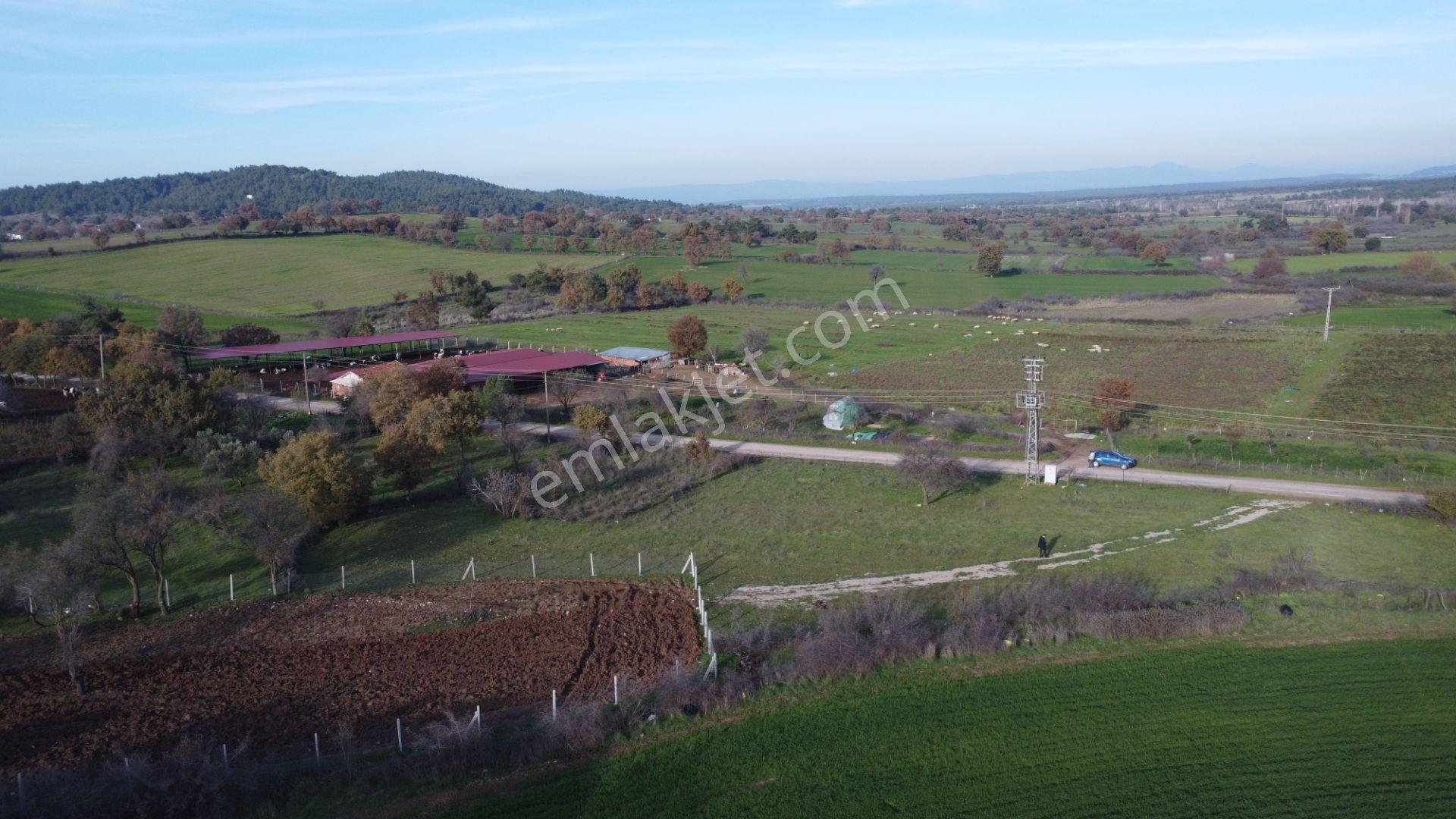 Çanakkale,ezine,karagömlek Köyünde Satılık Arsa Ve Tarla - Görsel 26