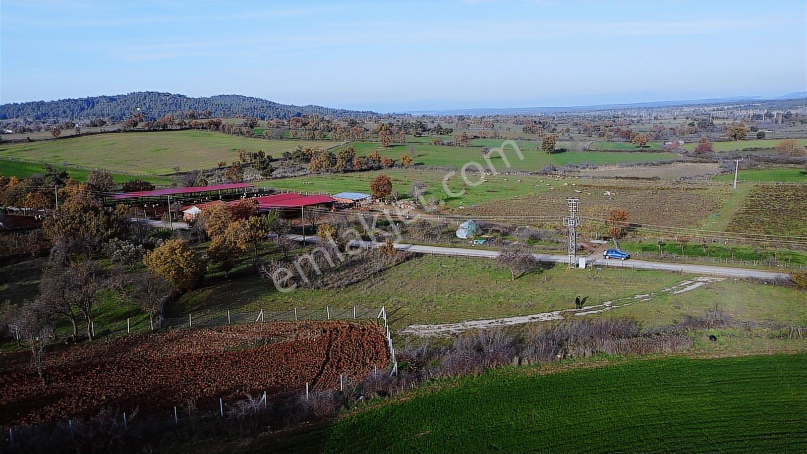 Çanakkale,ezine,karagömlek Köyünde Satılık Arsa Ve Tarlas - Görsel 13